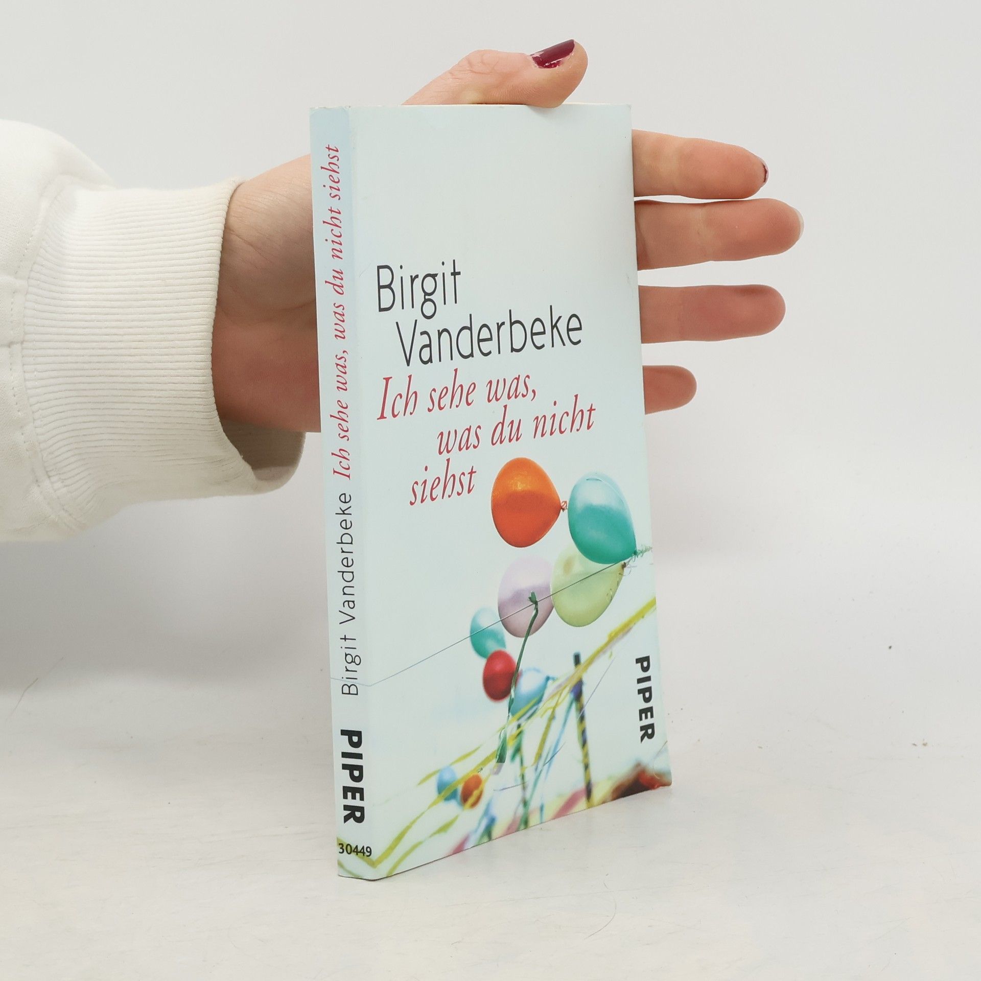 Birgit Vanderbeke Ich sehe was, was du nicht siehst