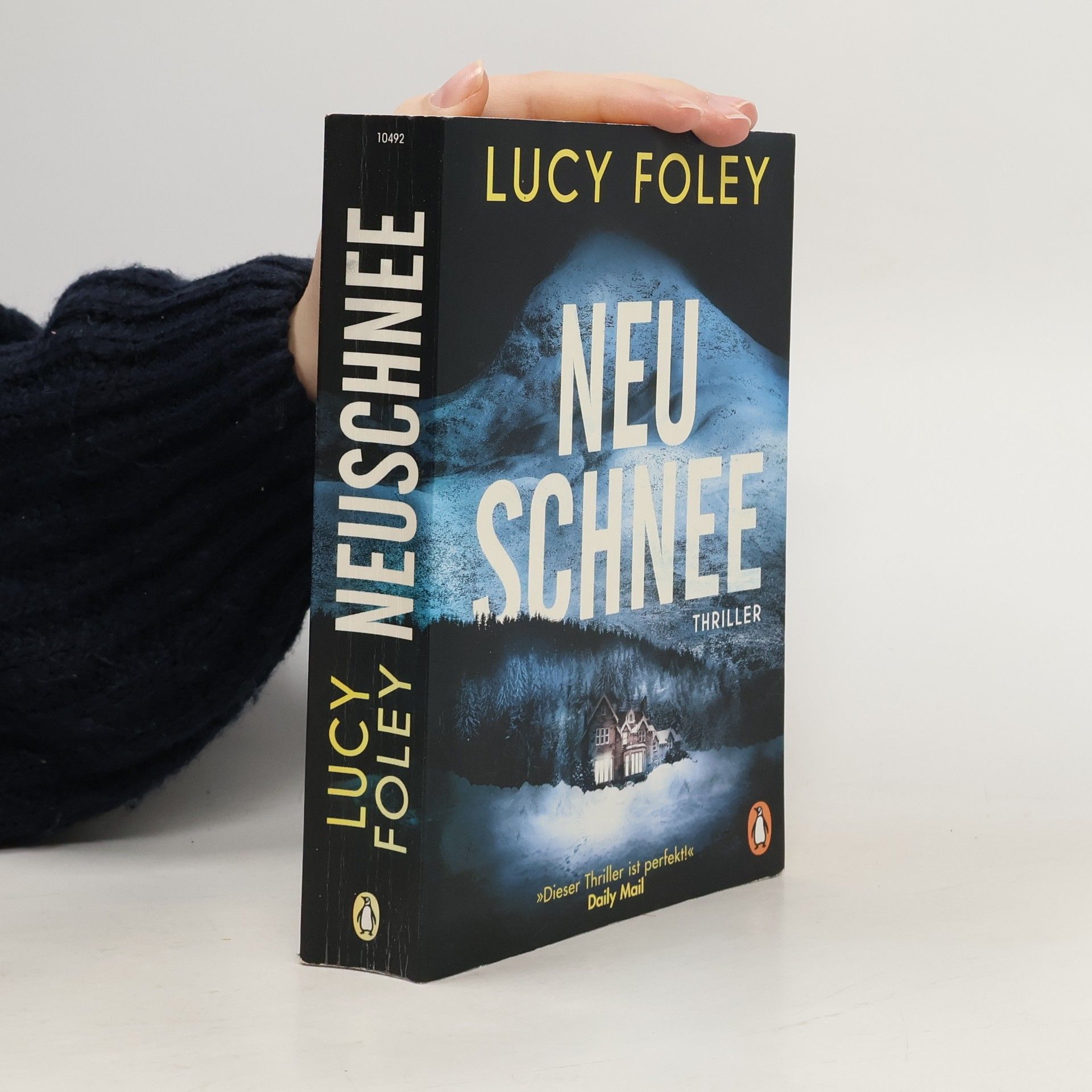 Lucy Foley Neuschnee