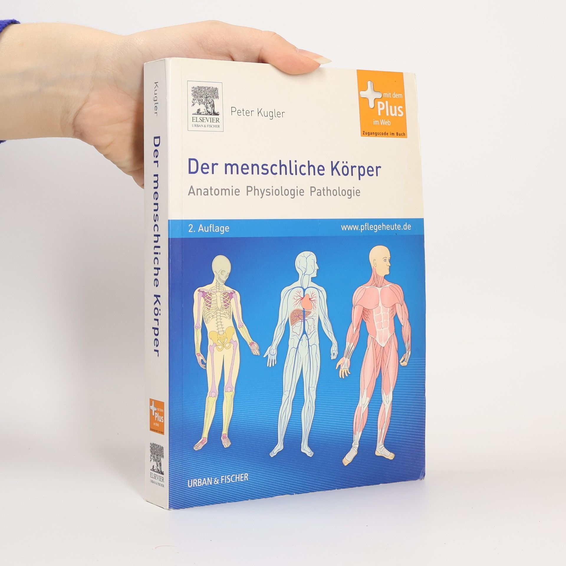 Der menschliche Körper