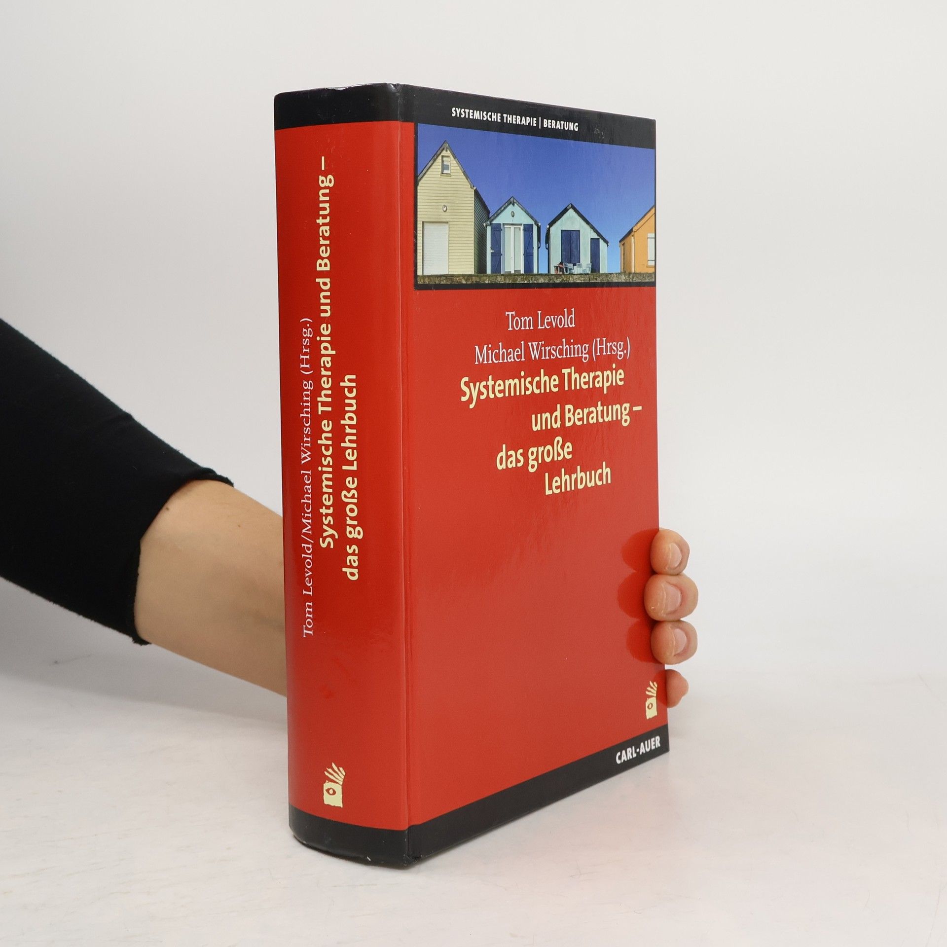 Systemische Therapie und Beratung