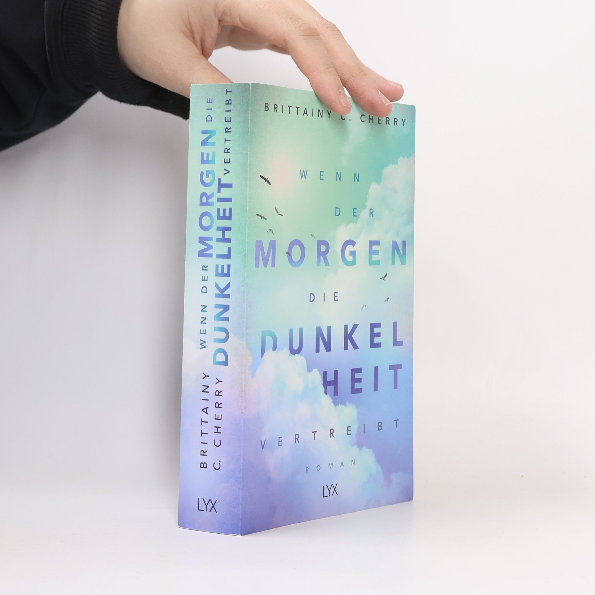 Brittainy C. Cherry Wenn der Morgen die Dunkelheit vertreibt