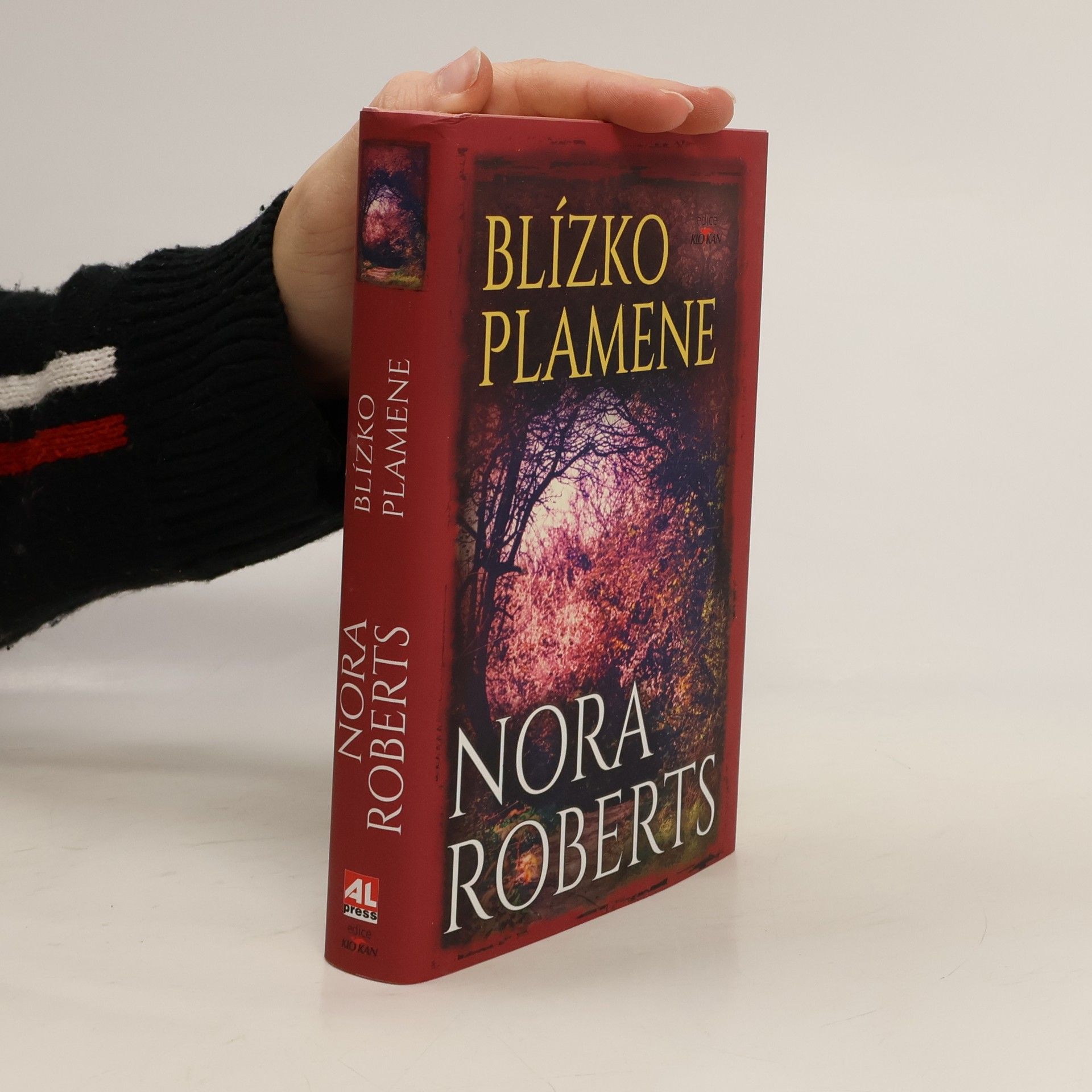 Nora Roberts Blízko plamene