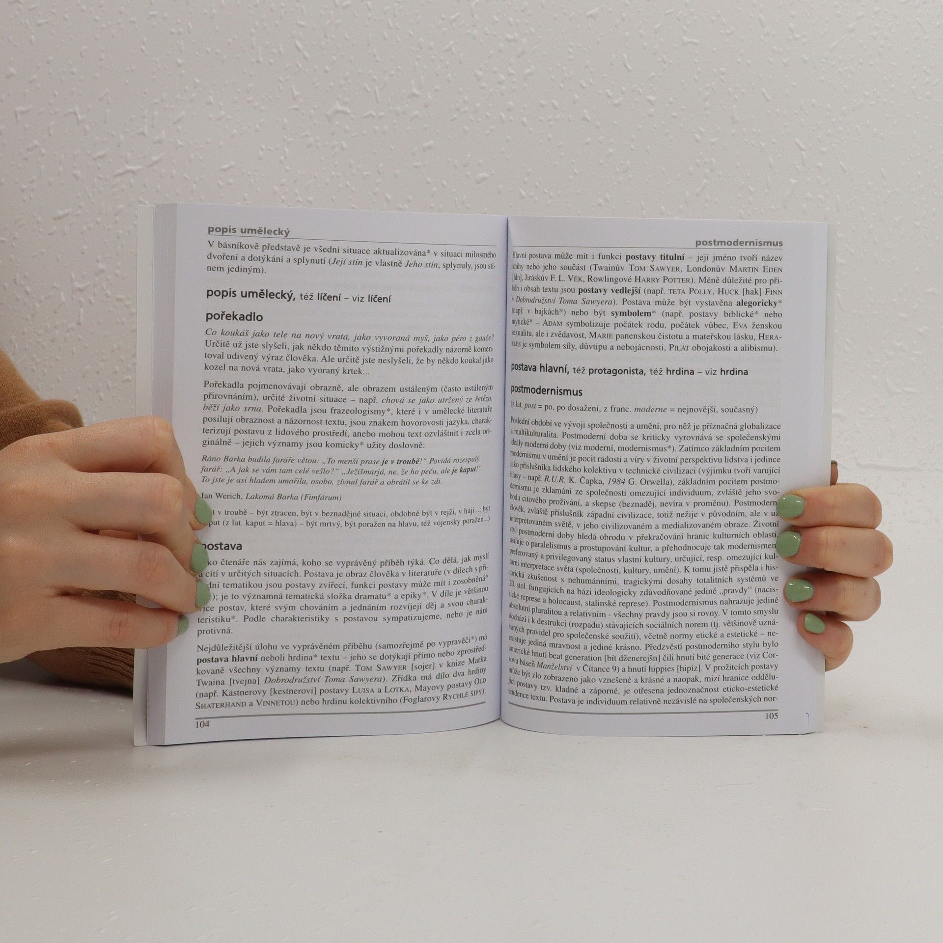 Ladislava Lederbuchová Slovník literárních pojmů, aneb, Co se skrývá za slovy