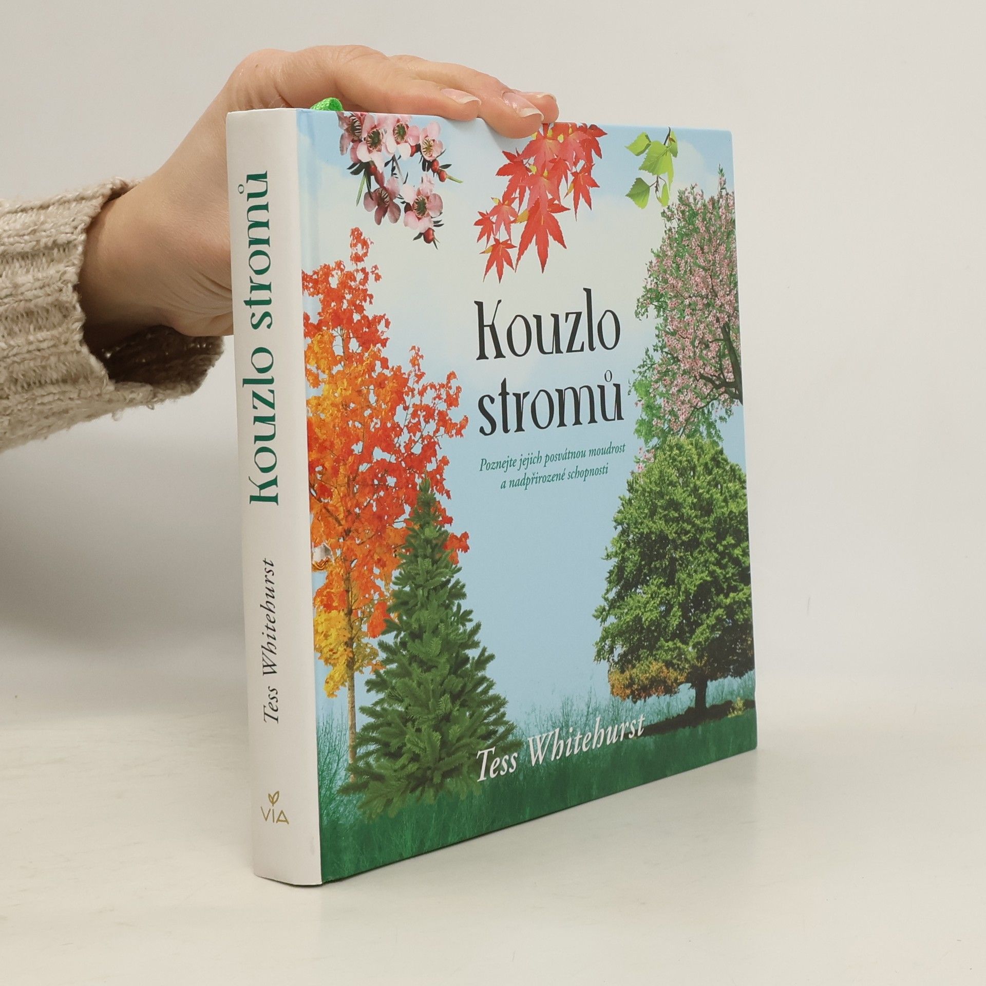 Tess Whitehurst Kouzlo stromů : poznejte jejich posvátnou moudrost a nadpřirozené schopnosti