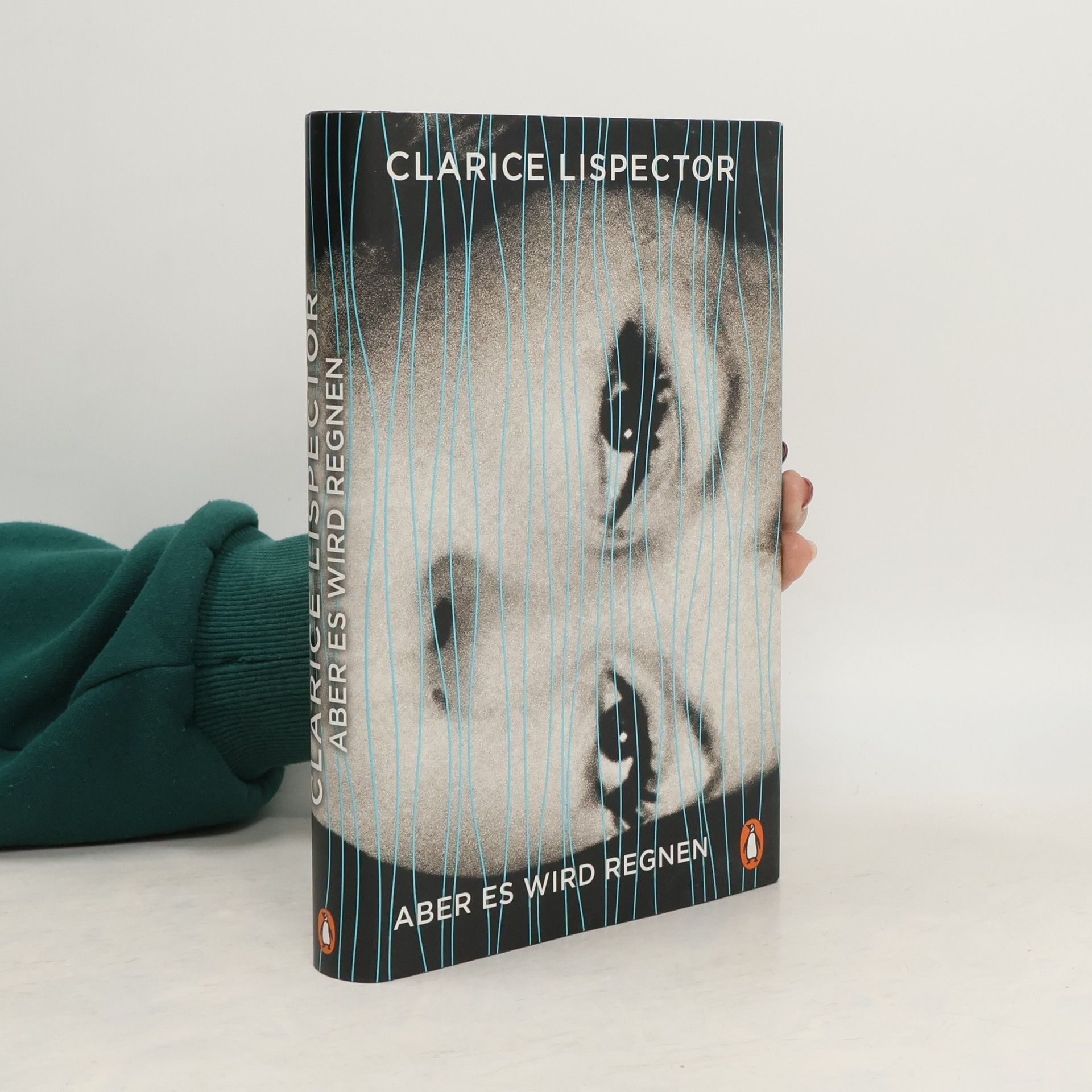 Clarice Lispector Aber es wird regnen