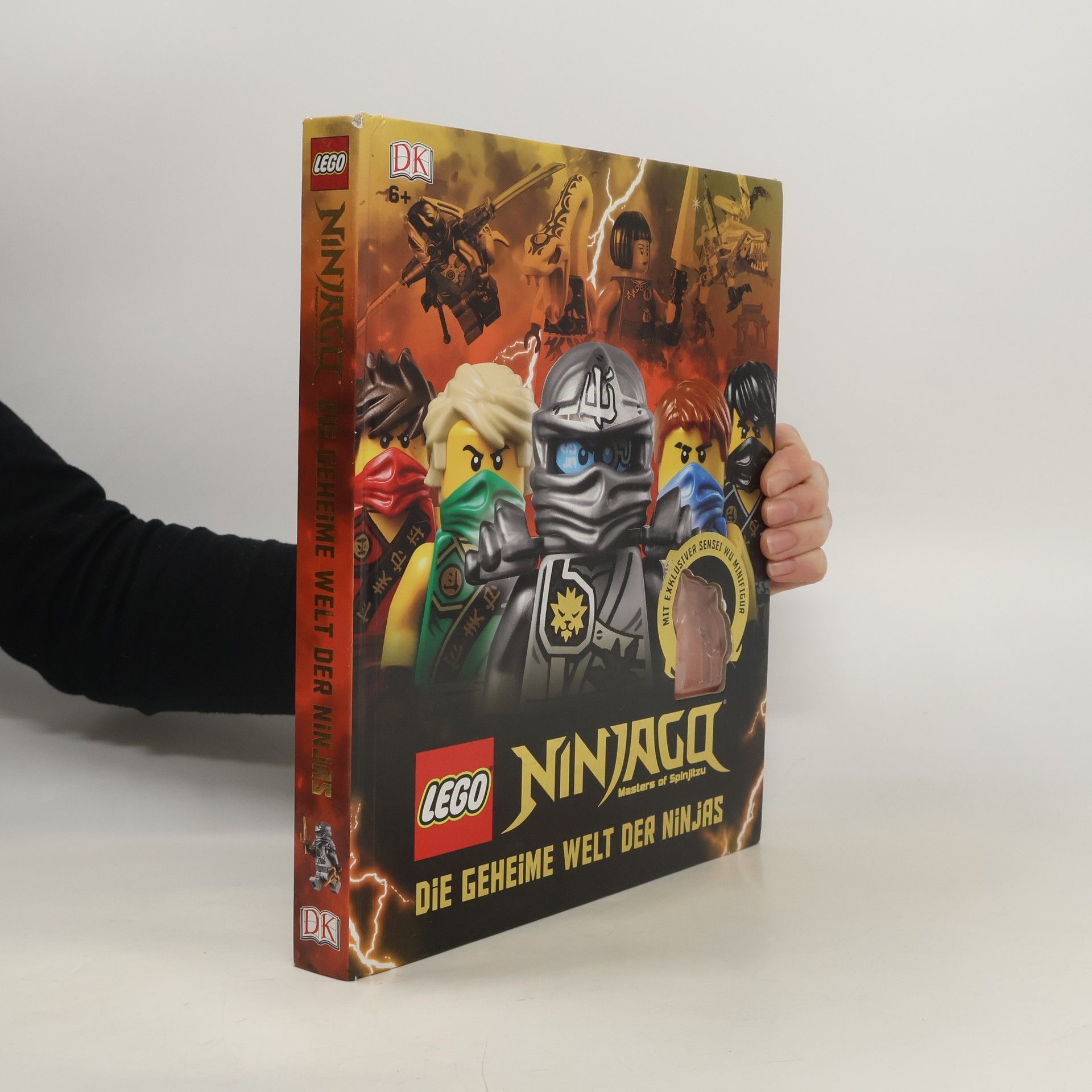 LEGO Ninjago masters of Spinjitzu - die geheime Welt der Ninjas