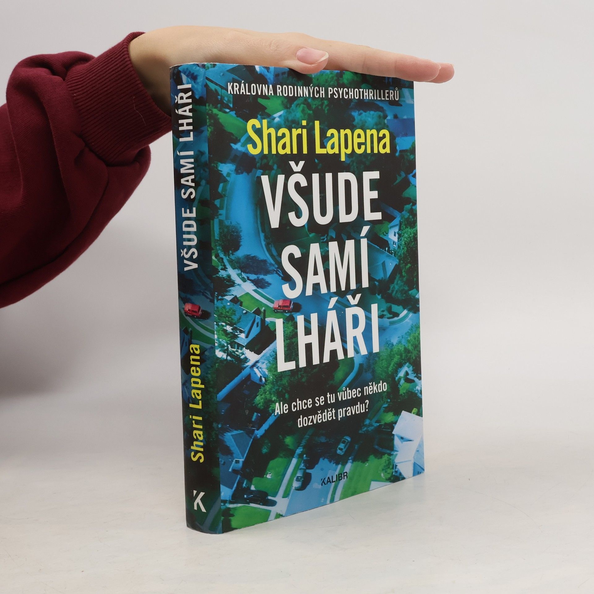 Shari Lapenová Všude samí lháři