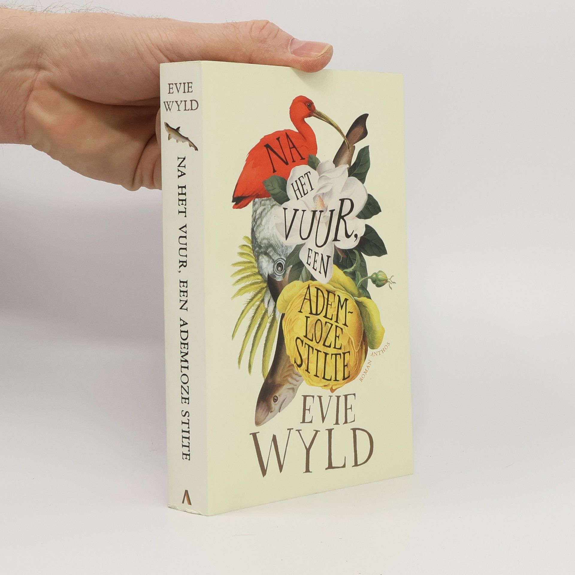 Evie Wyld Na het vuur, een ademloze stilte