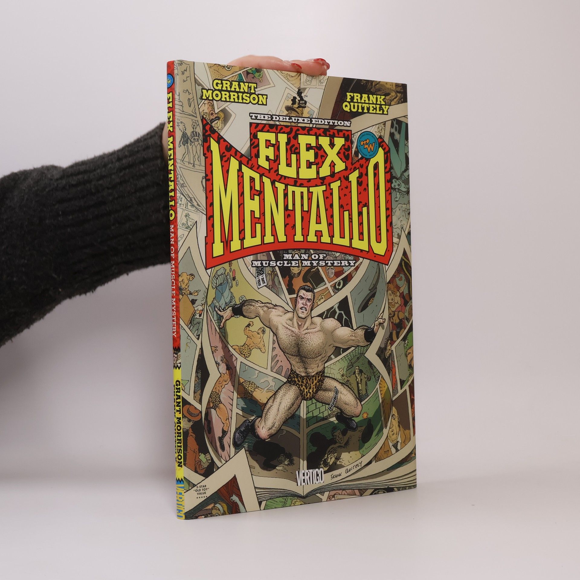 Frank Quitely Flex Mentallo