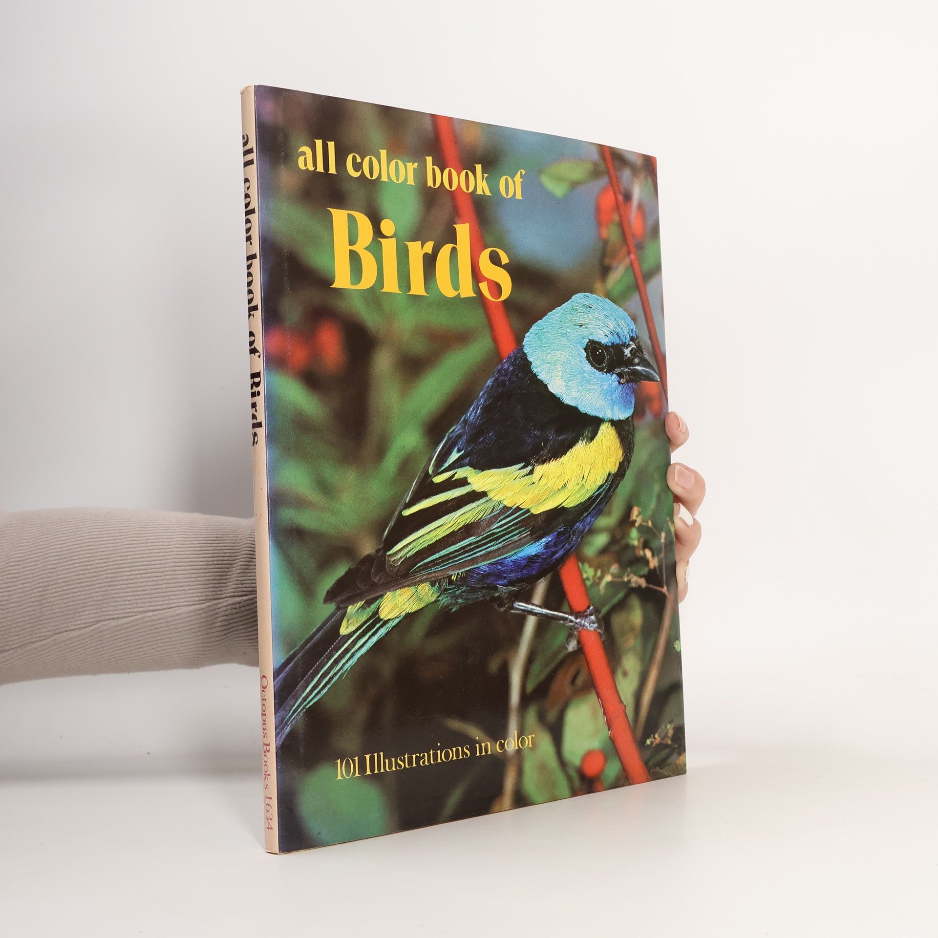 Autorenkollektiv All Color Book of Birds