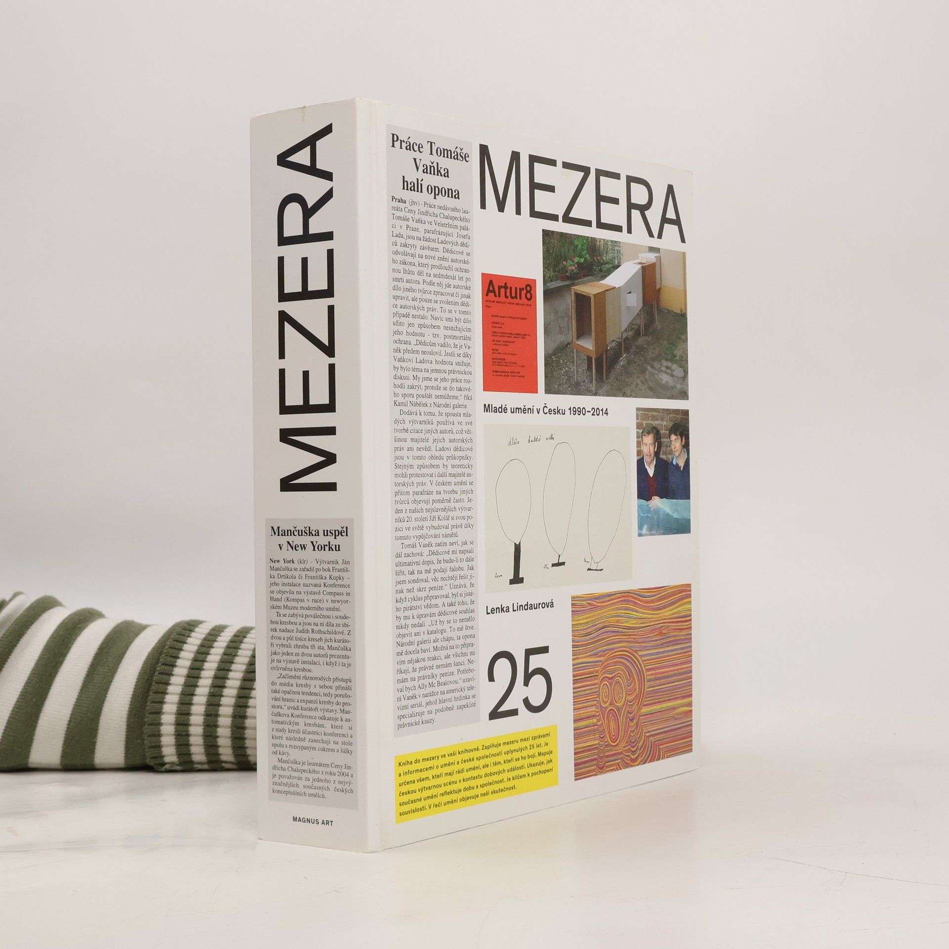 Mezera : mladé umění v Česku 1990-2014