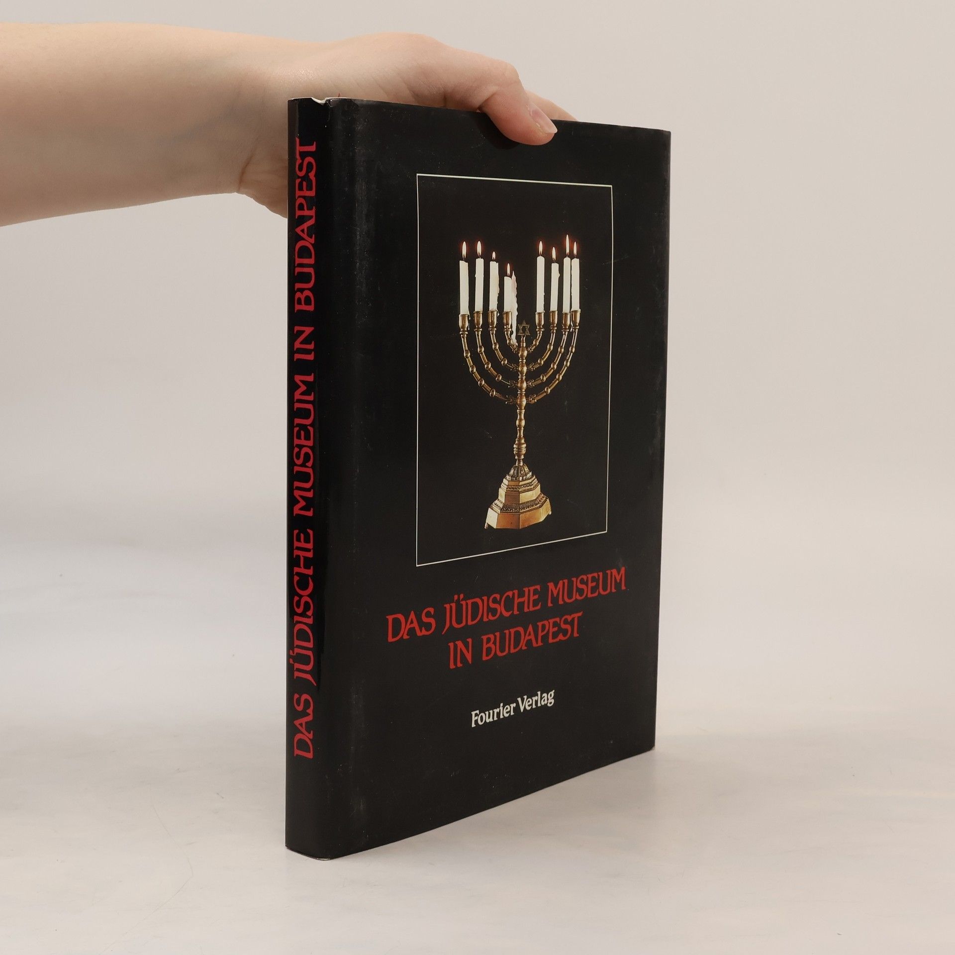 Ilona Benoschofsky Das Jüdische Museum in Budapest