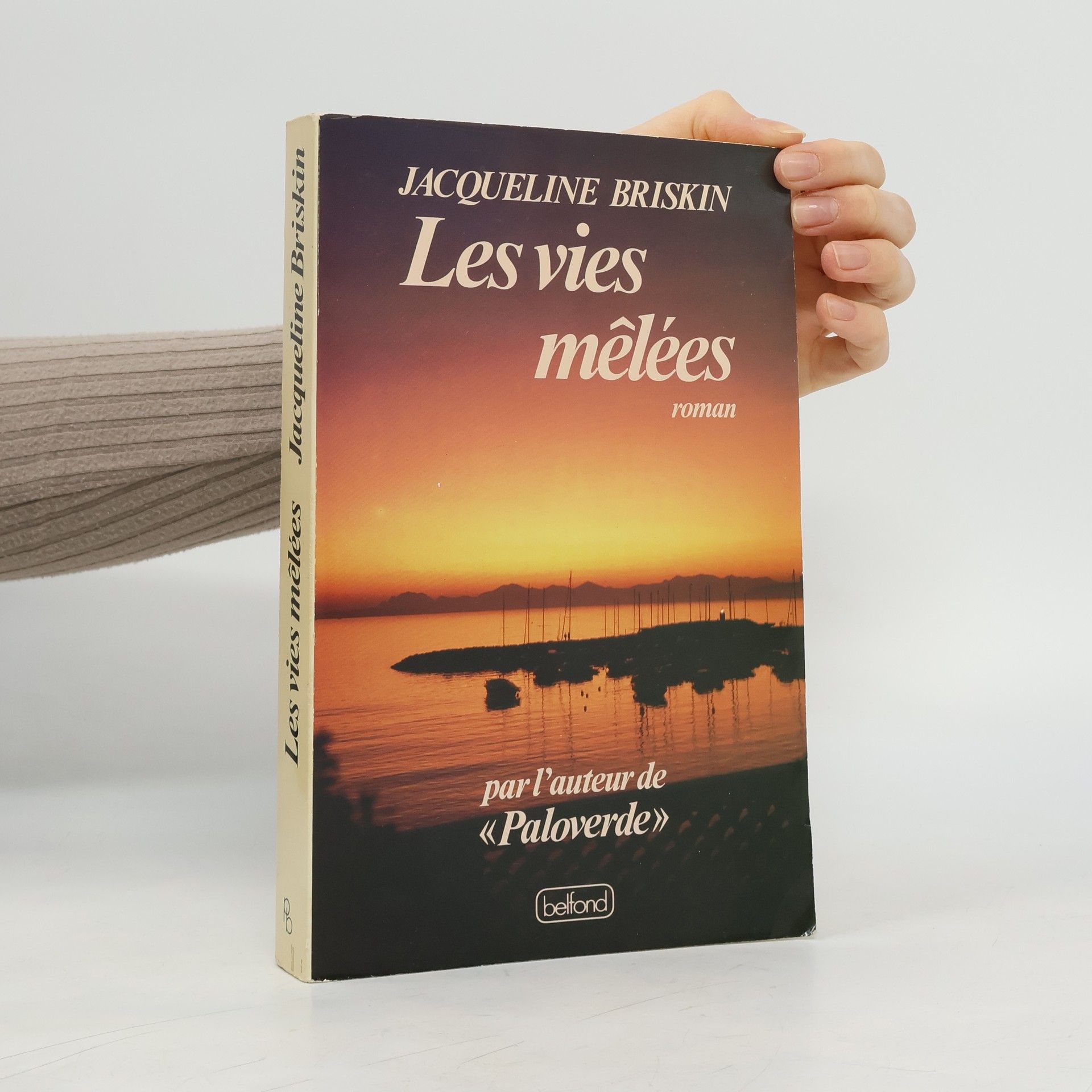 Jacqueline Briskin Les vies mêlées