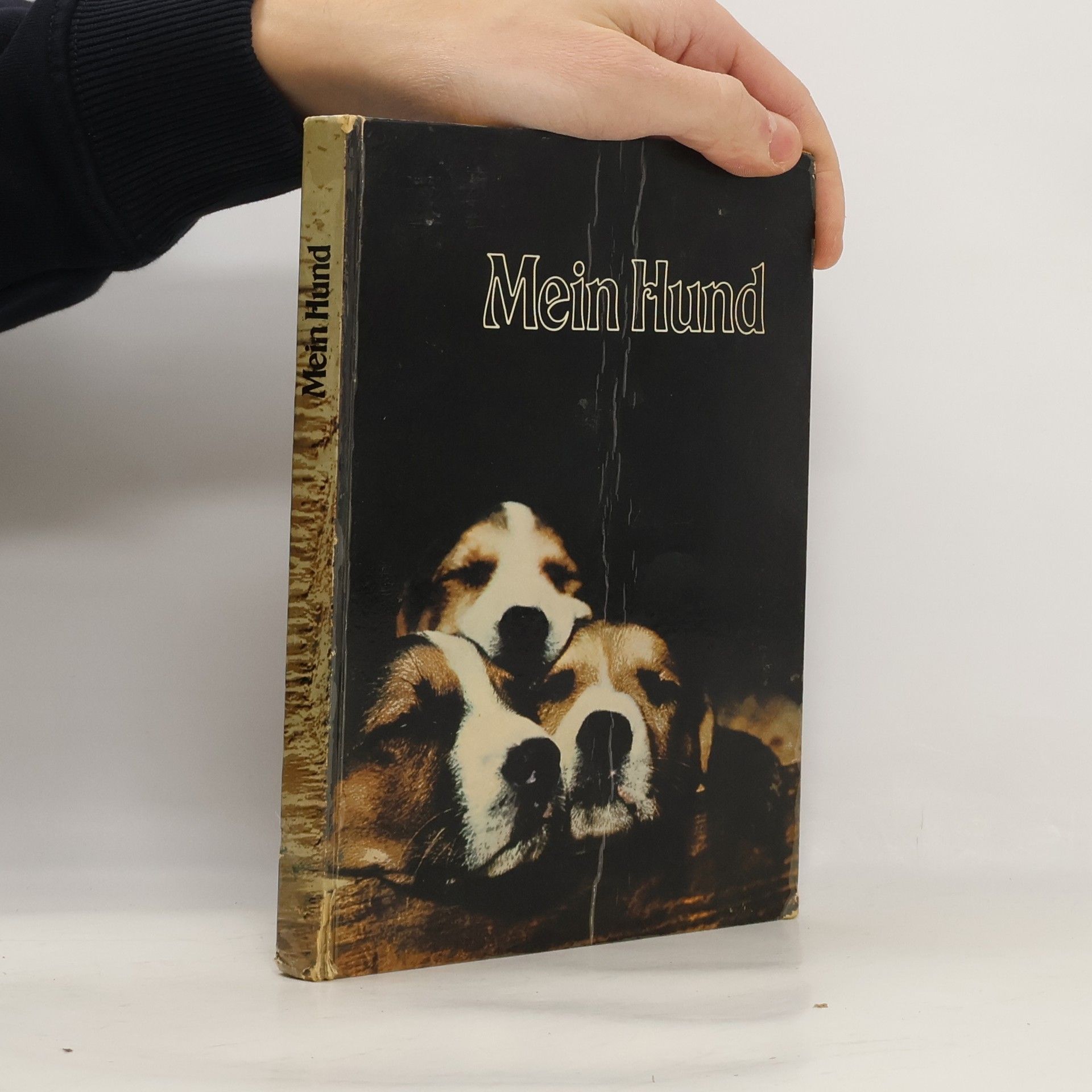 Kolektív autorov Mein Hund