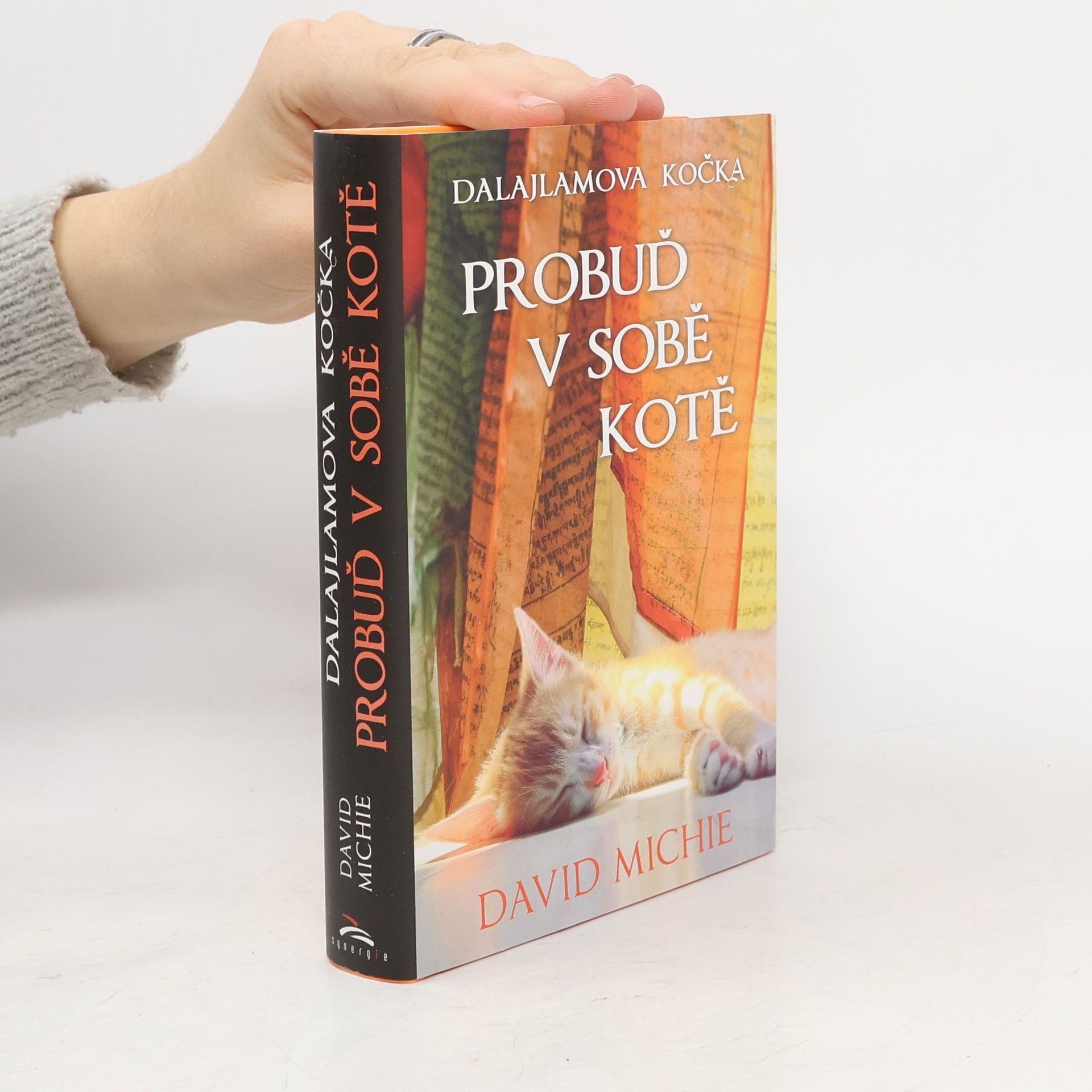 Dalajlamova kočka - probuď v sobě kotě