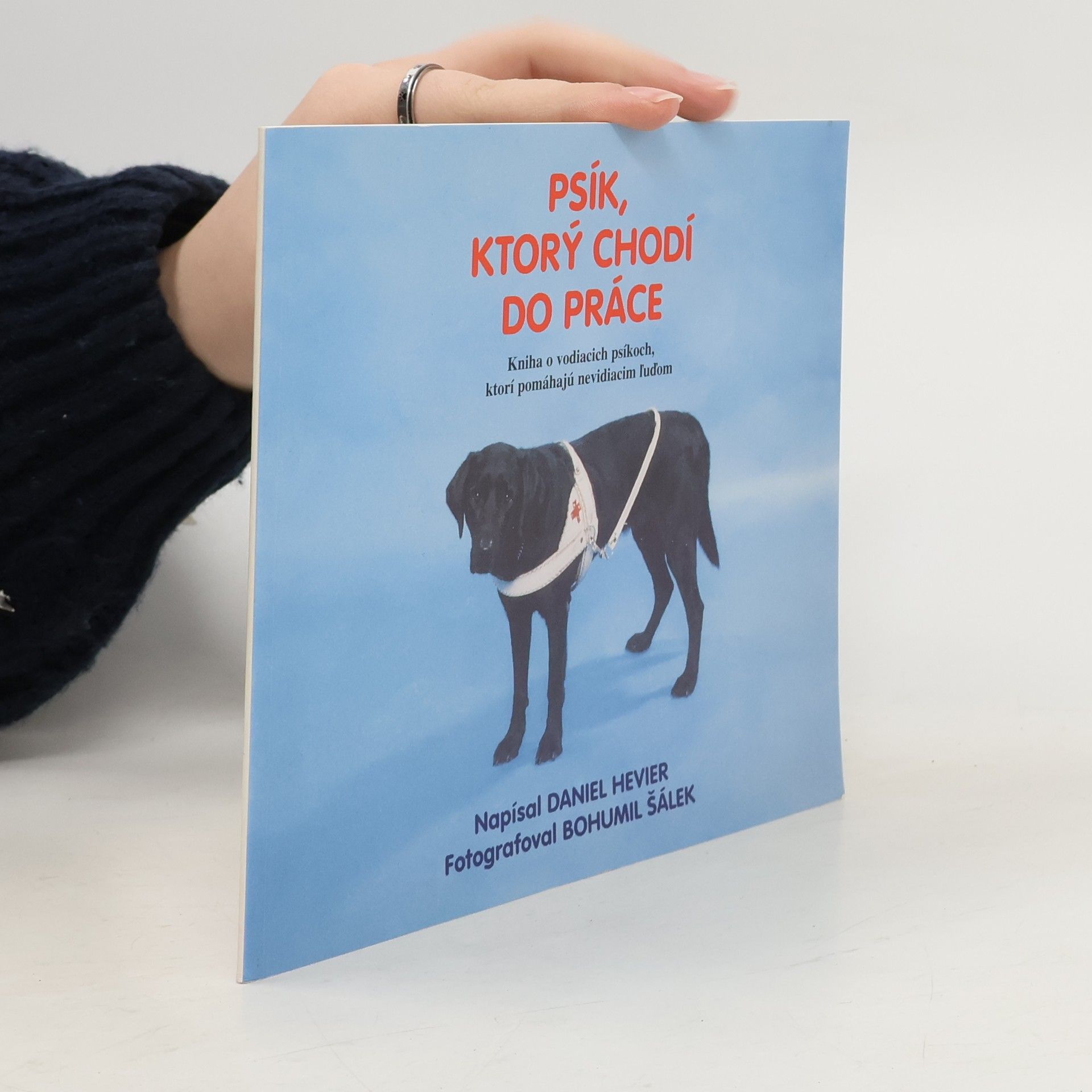 Psík, ktorý chodí do práce