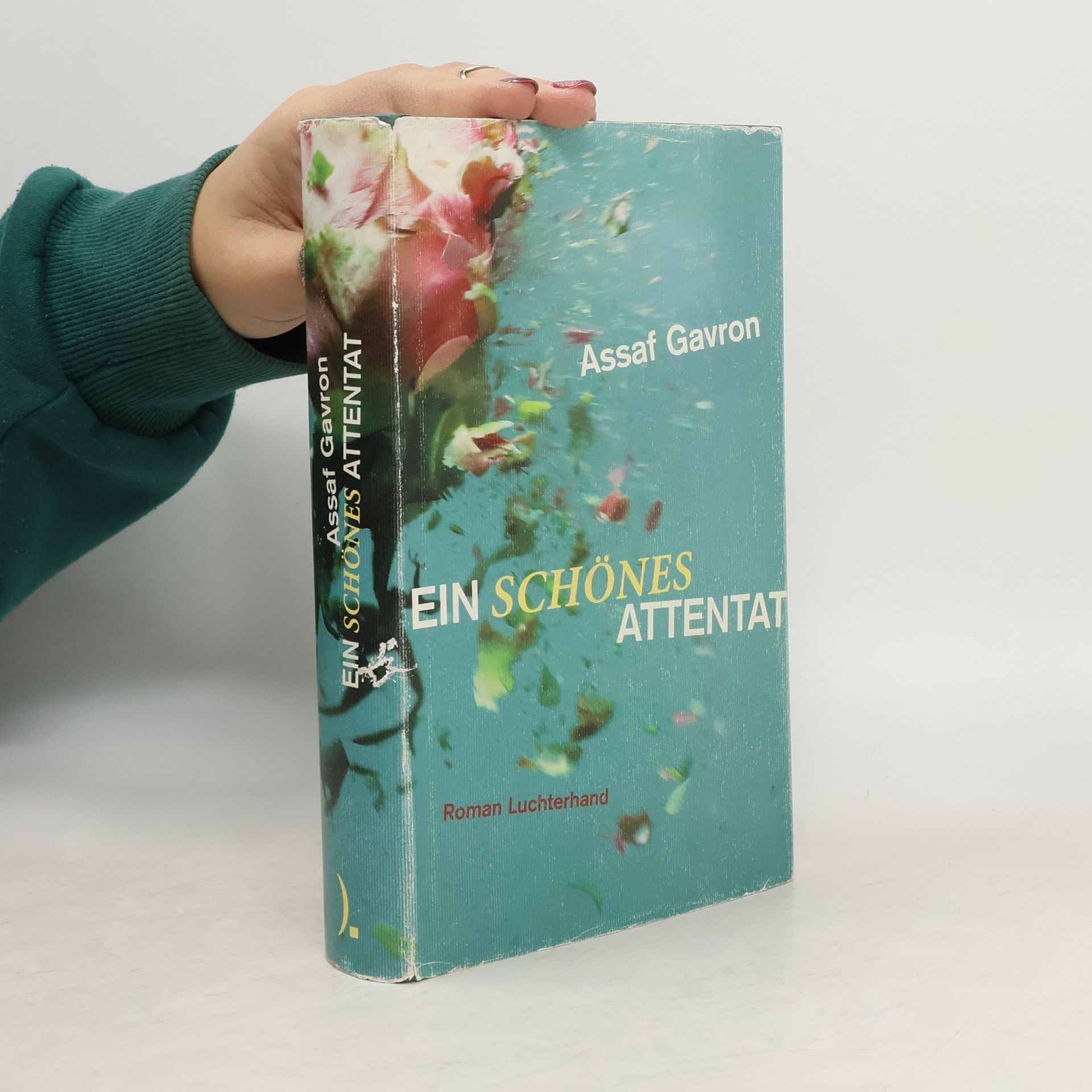 Assaf Gavron Ein schönes Attentat