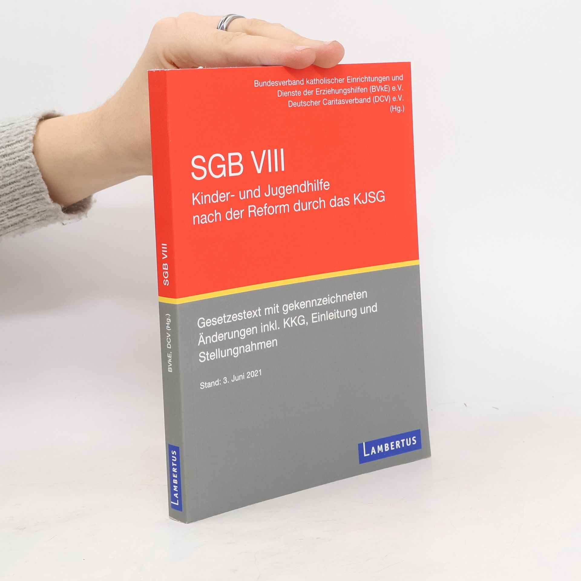 Bvke SGB VIII - Kinder- und Jugendhilfe nach der Reform durch das KJSG
