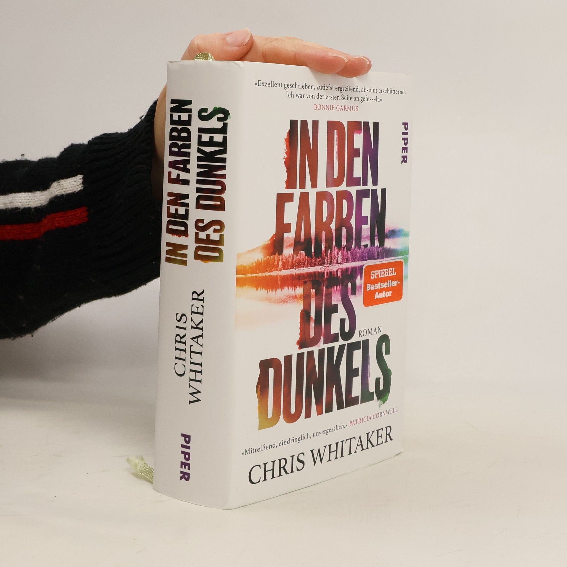 Chris Whitaker In den Farben des Dunkels