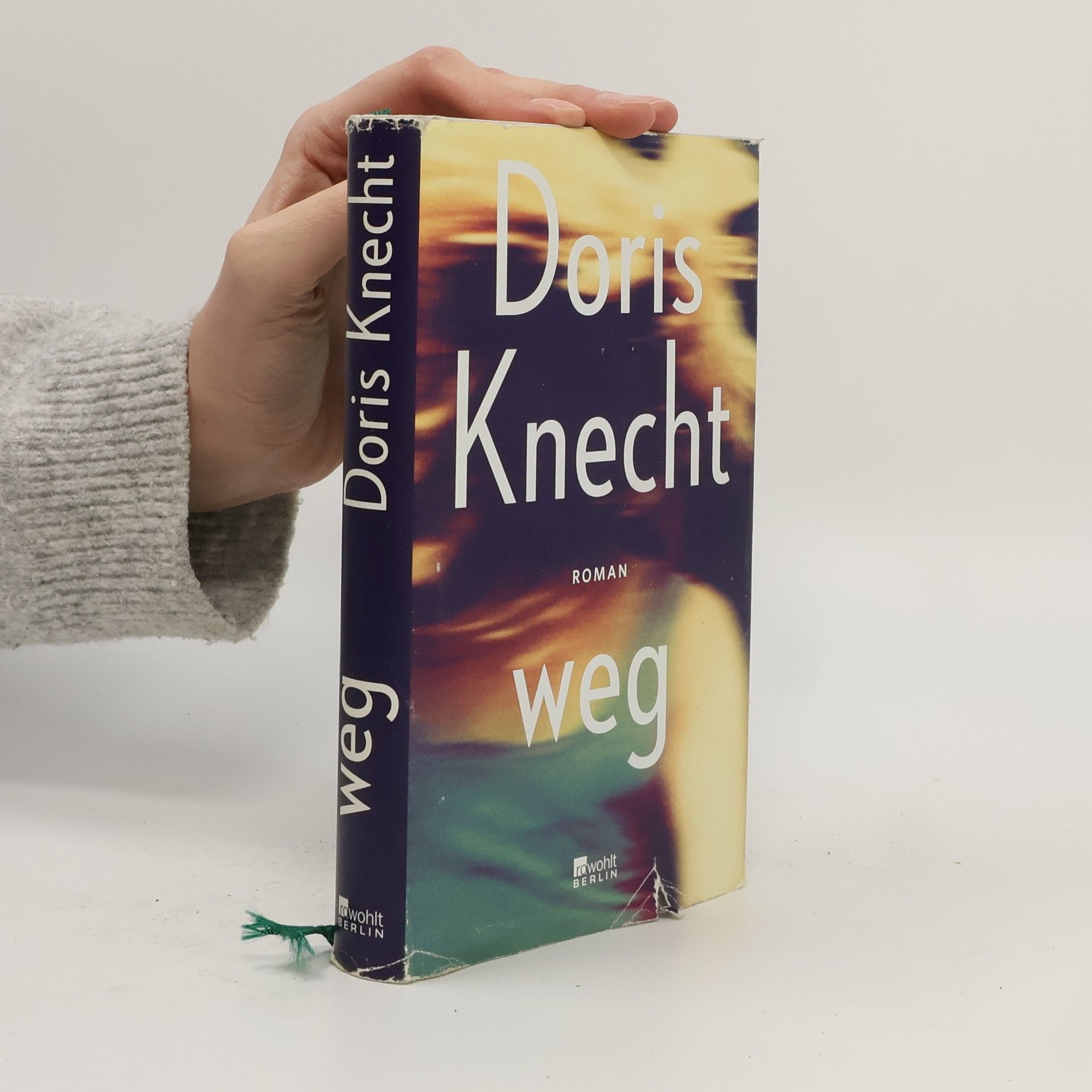 Doris Knecht Weg