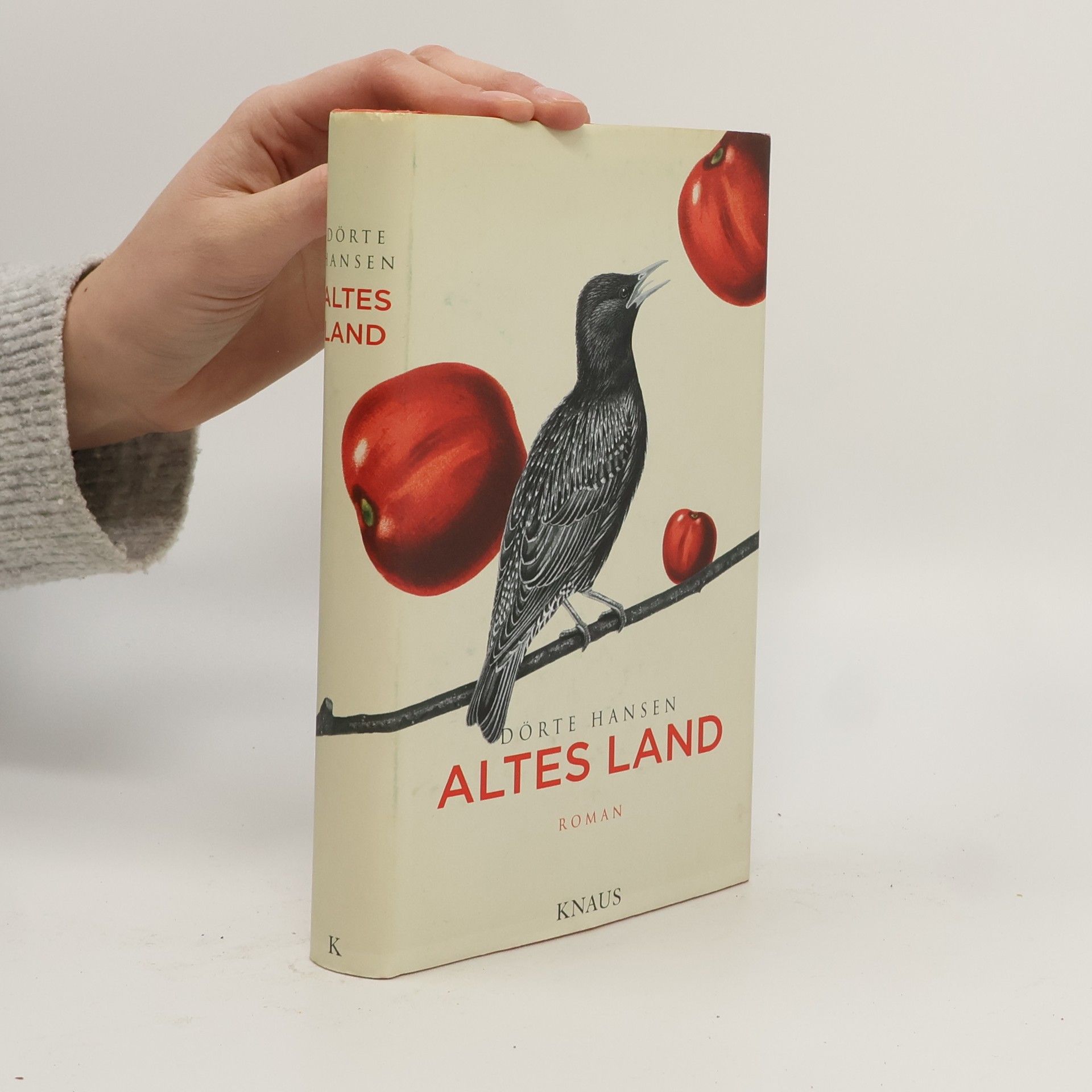 Dörte Hansen Altes Land