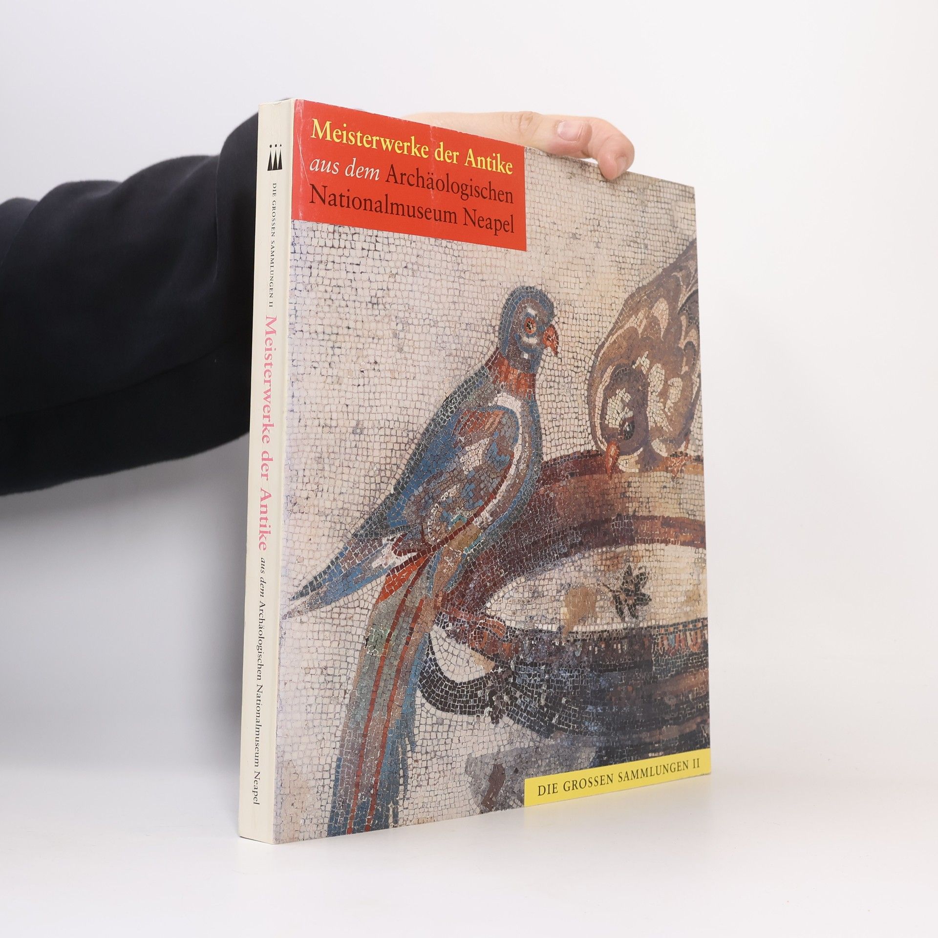 Collectif d'auteurs Meisterwerke der Antike aus dem Archäologischen Nationalmuseum Neapel