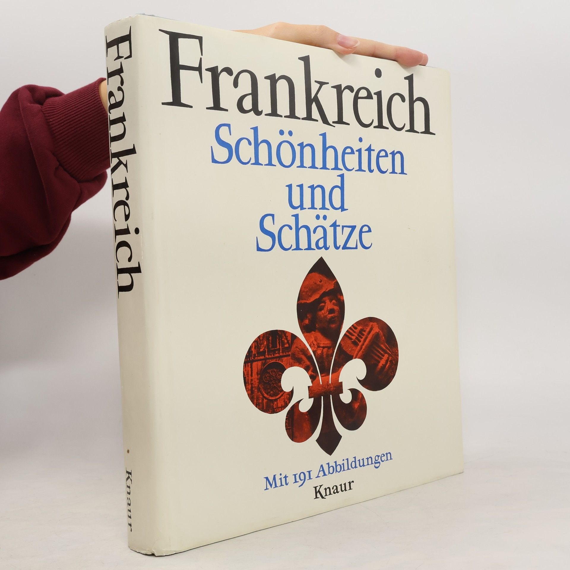 Autorenkollektiv Frankreich. Schönheiten und Schätze