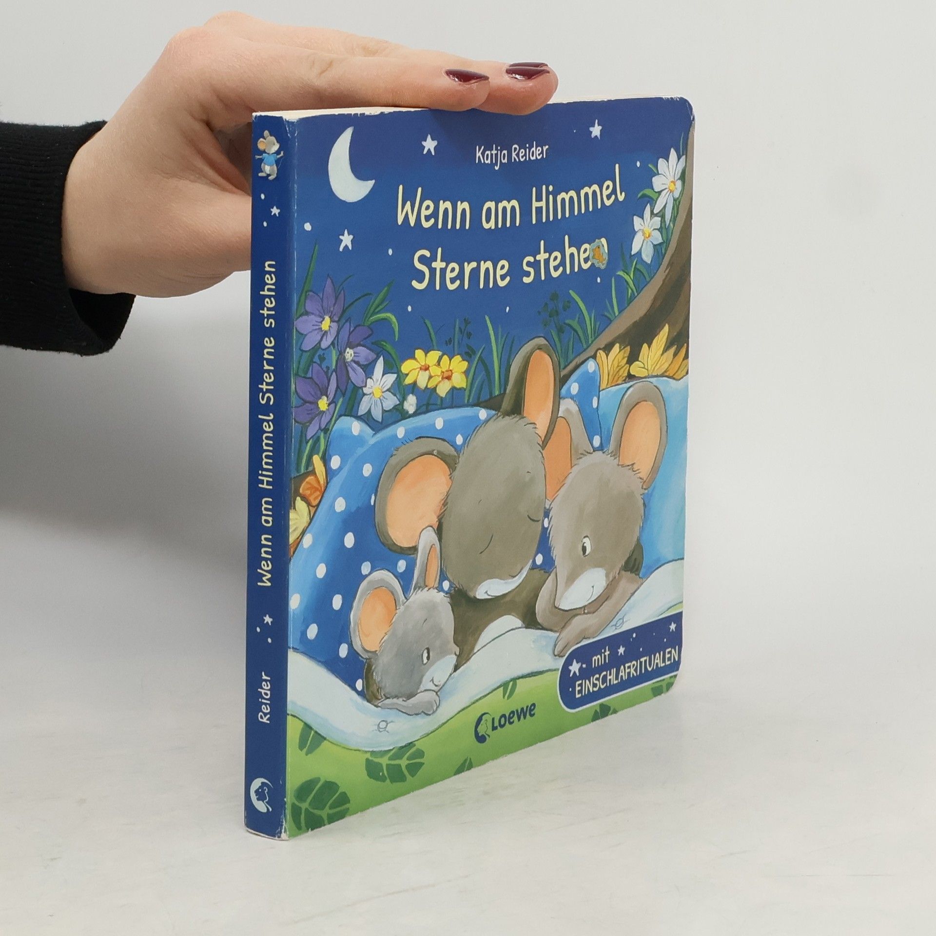 Katja Reider Wenn am Himmel Sterne stehen