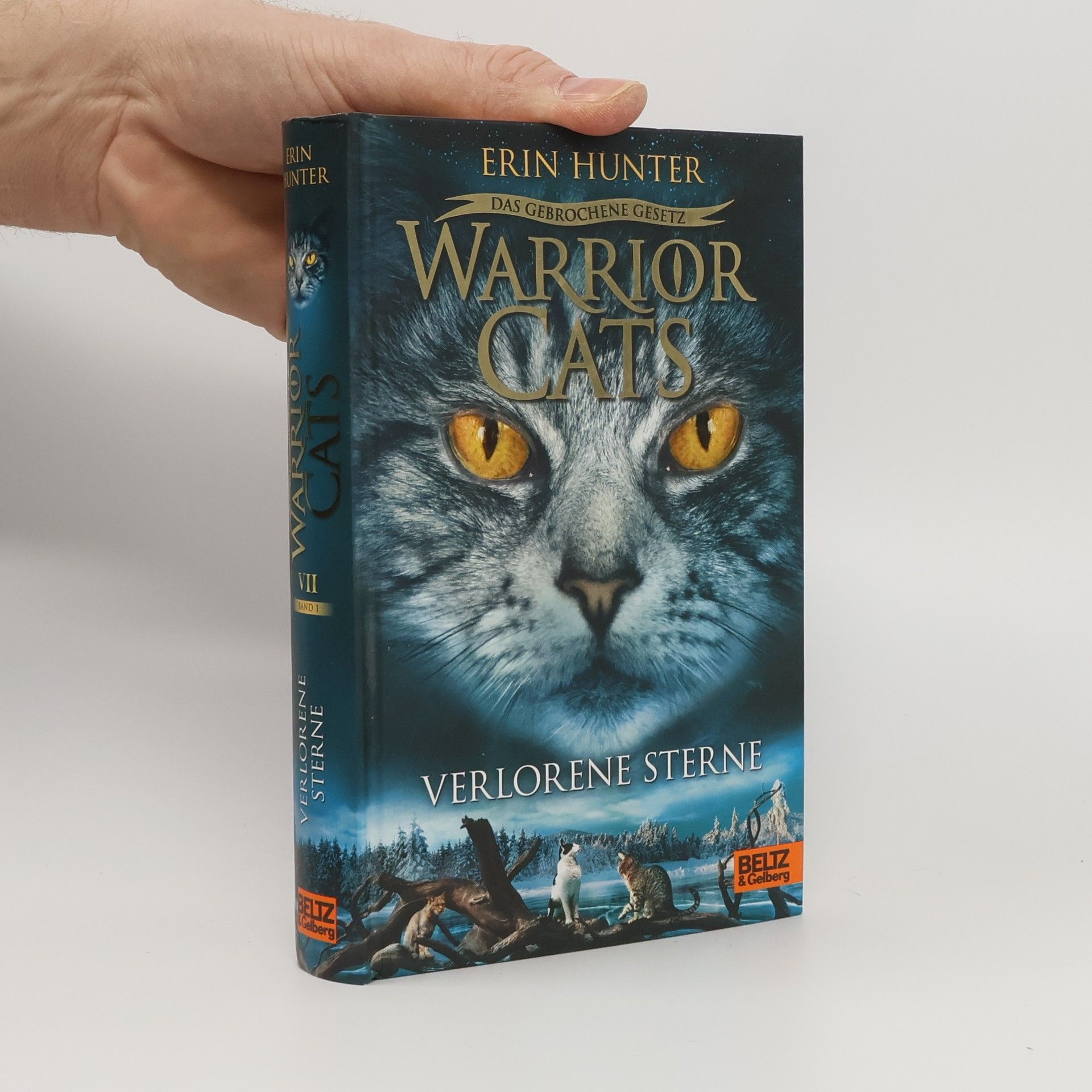 Erin Hunter Warrior Cat: Verlorene Sterne