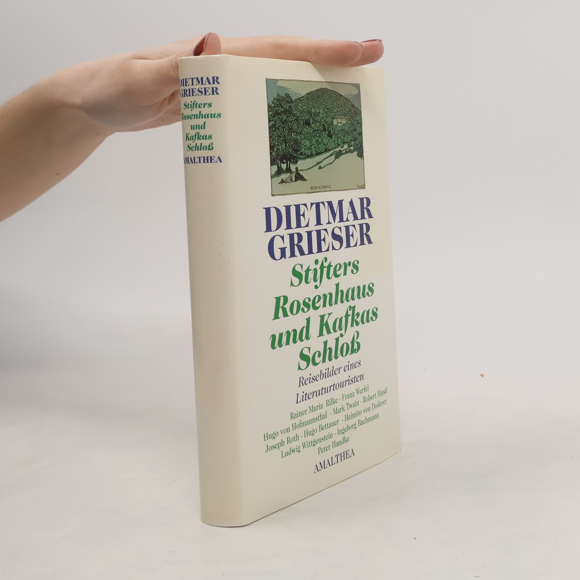 Dietmar Grieser Stifters Rosenhaus und Kafkas Schloss