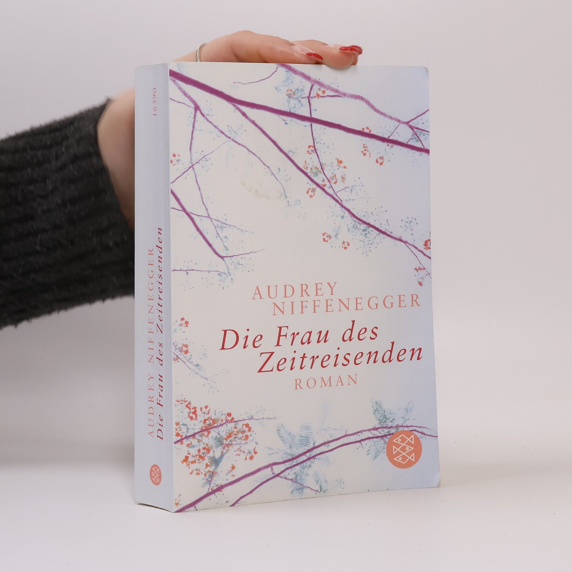 Audrey Niffenegger Die Frau des Zeitreisenden