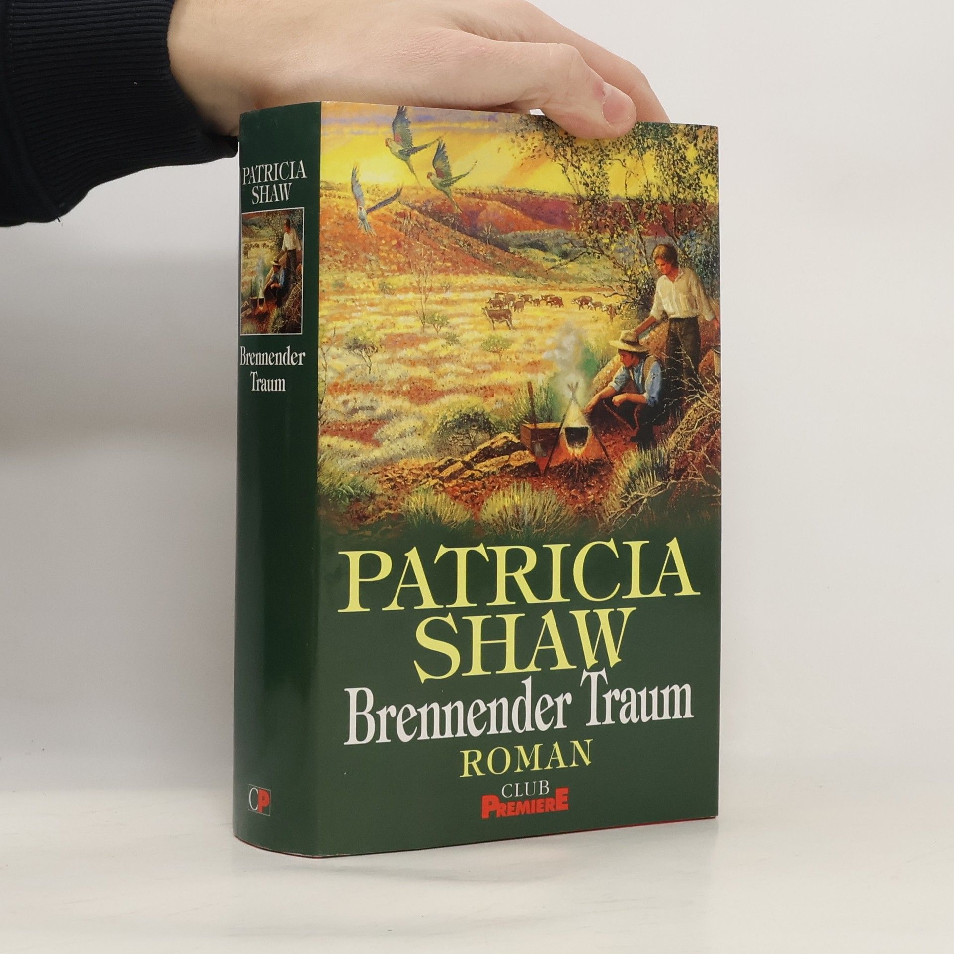 Patricia Shaw Brennender Traum