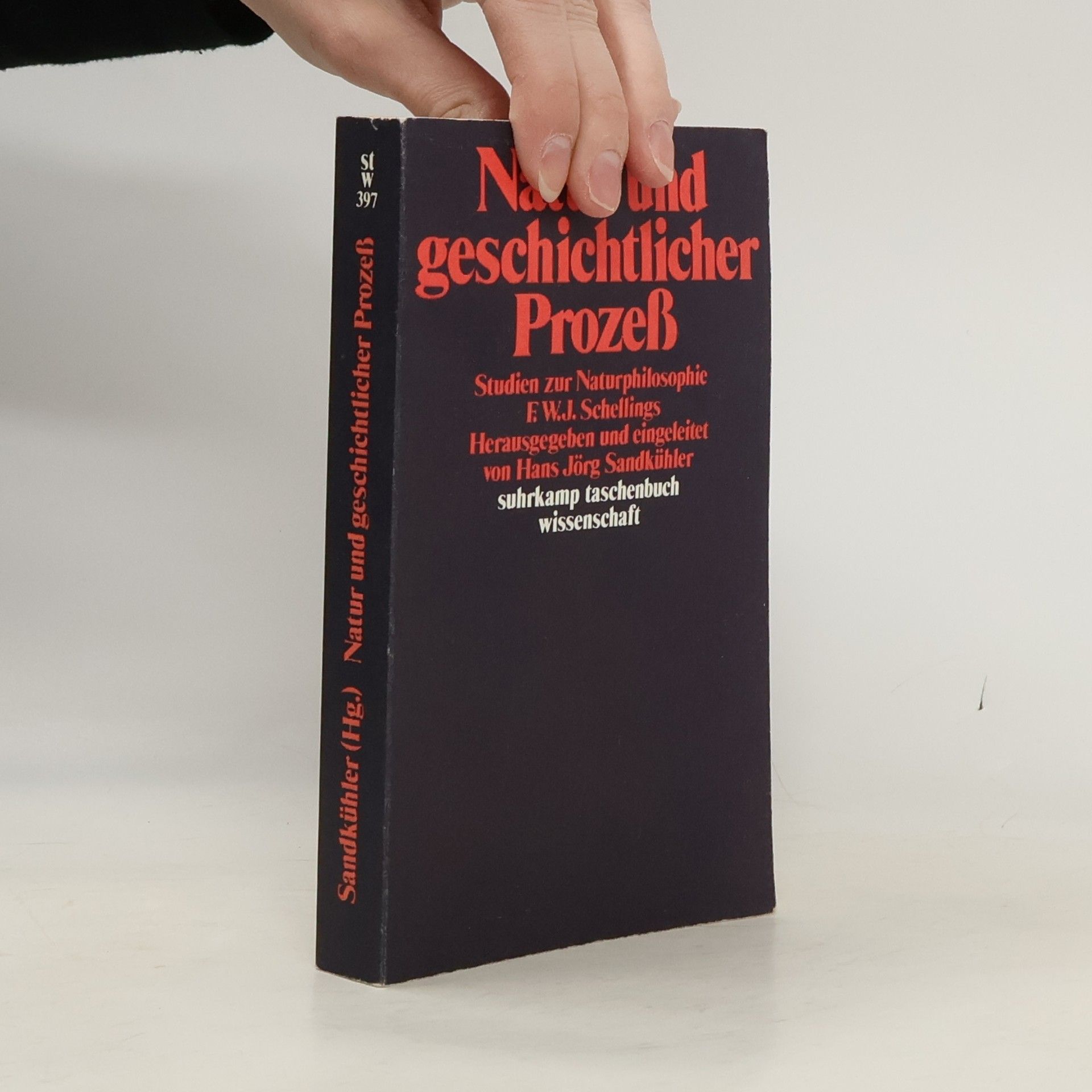 Hans Jörg Sandkühler Suhrkamp Taschenbuch Wissenschaft: Natur und geschichtlicher Prozess