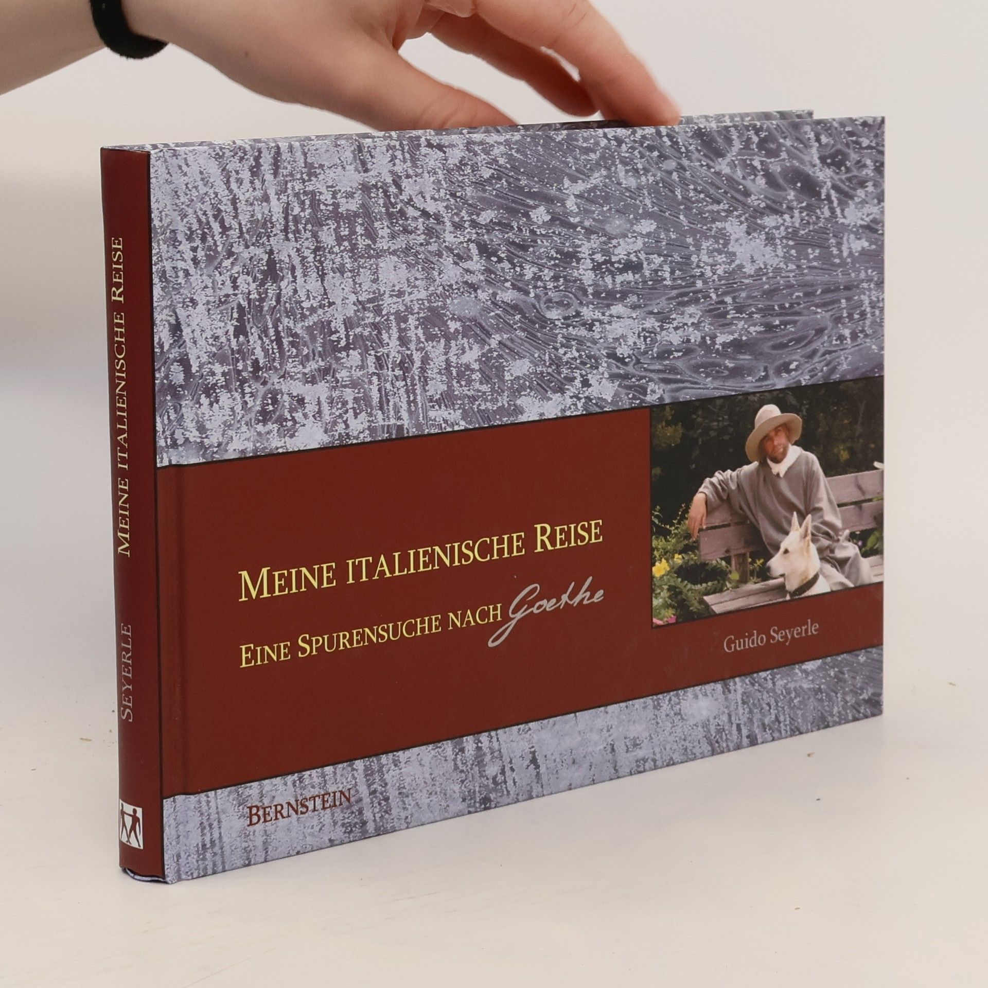 Guido Seyerle Meine italienische Reise