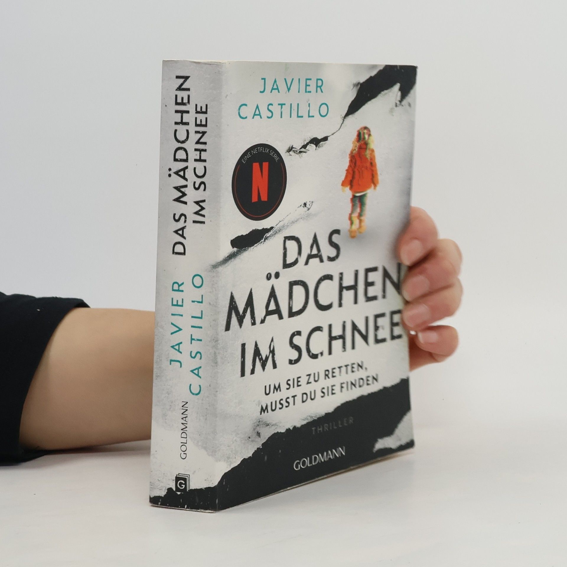 Das Mädchen im Schnee - Um sie zu retten, musst du sie finden. Thriller - Das Buch zur erfolgreichen Netflix-Serie