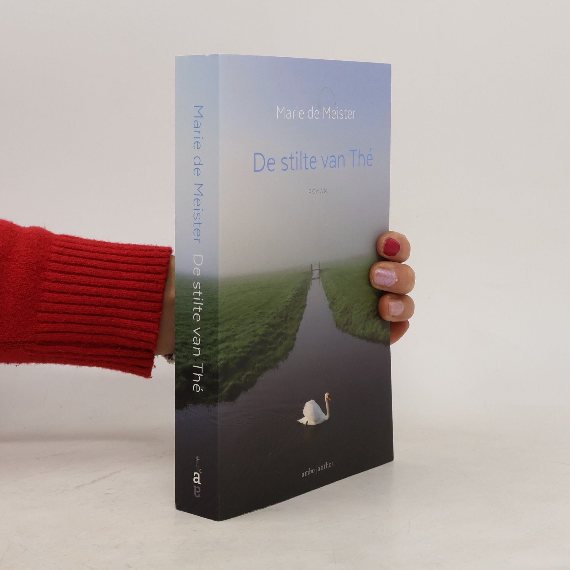 Marie de Meister De stilte van Thé