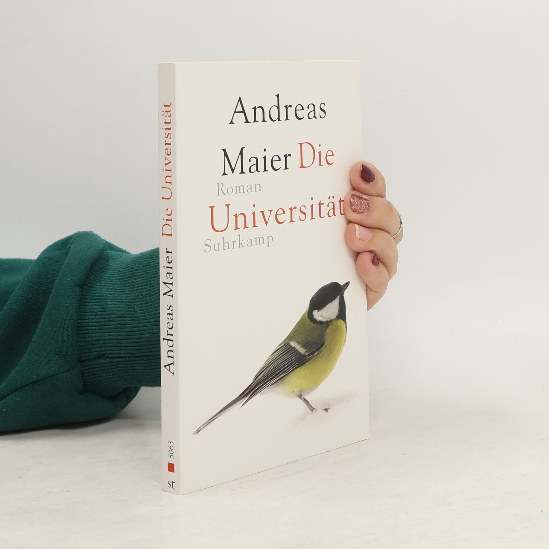 Andreas Maier Die Universität