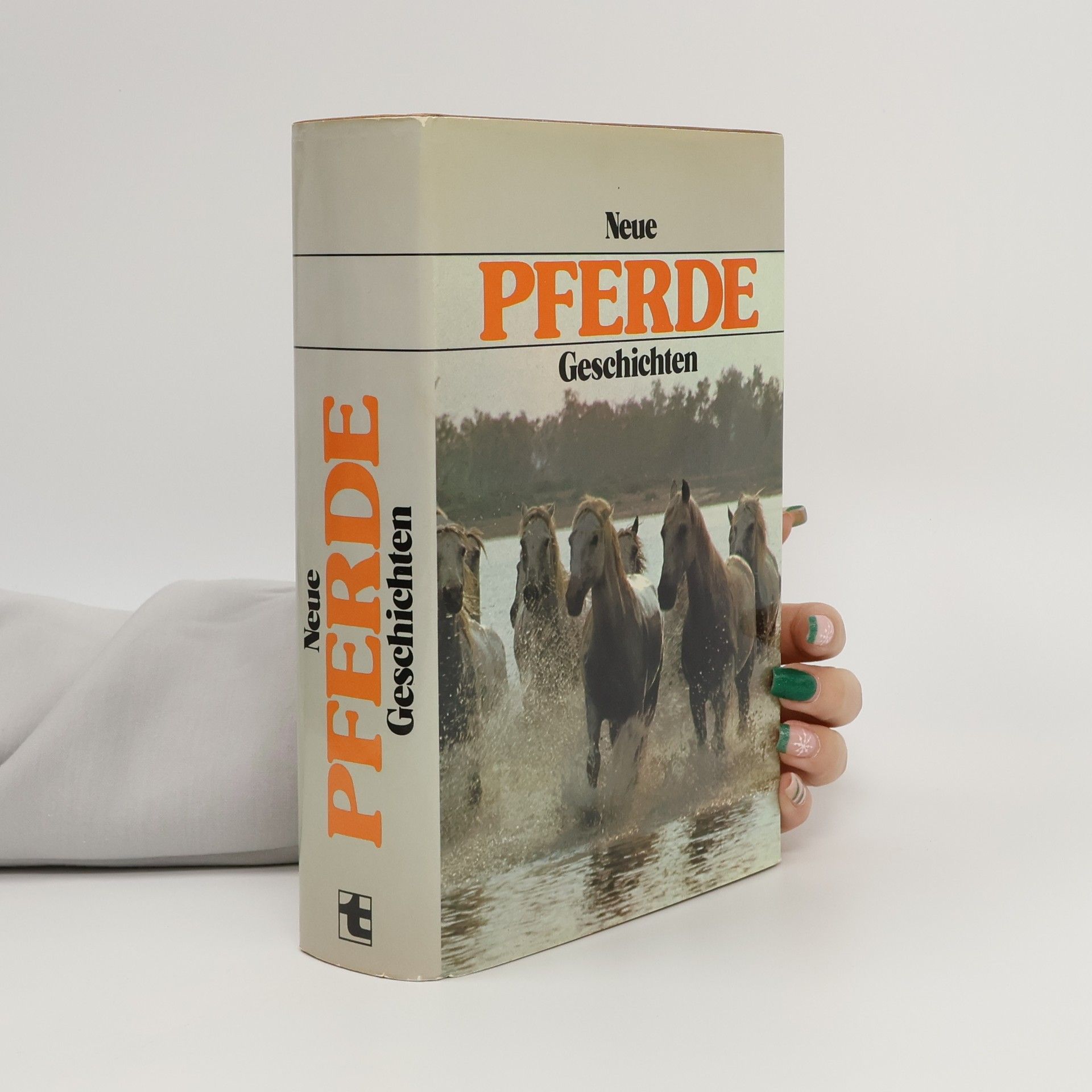 Autorenkollektiv Neue Pferde Geschichten