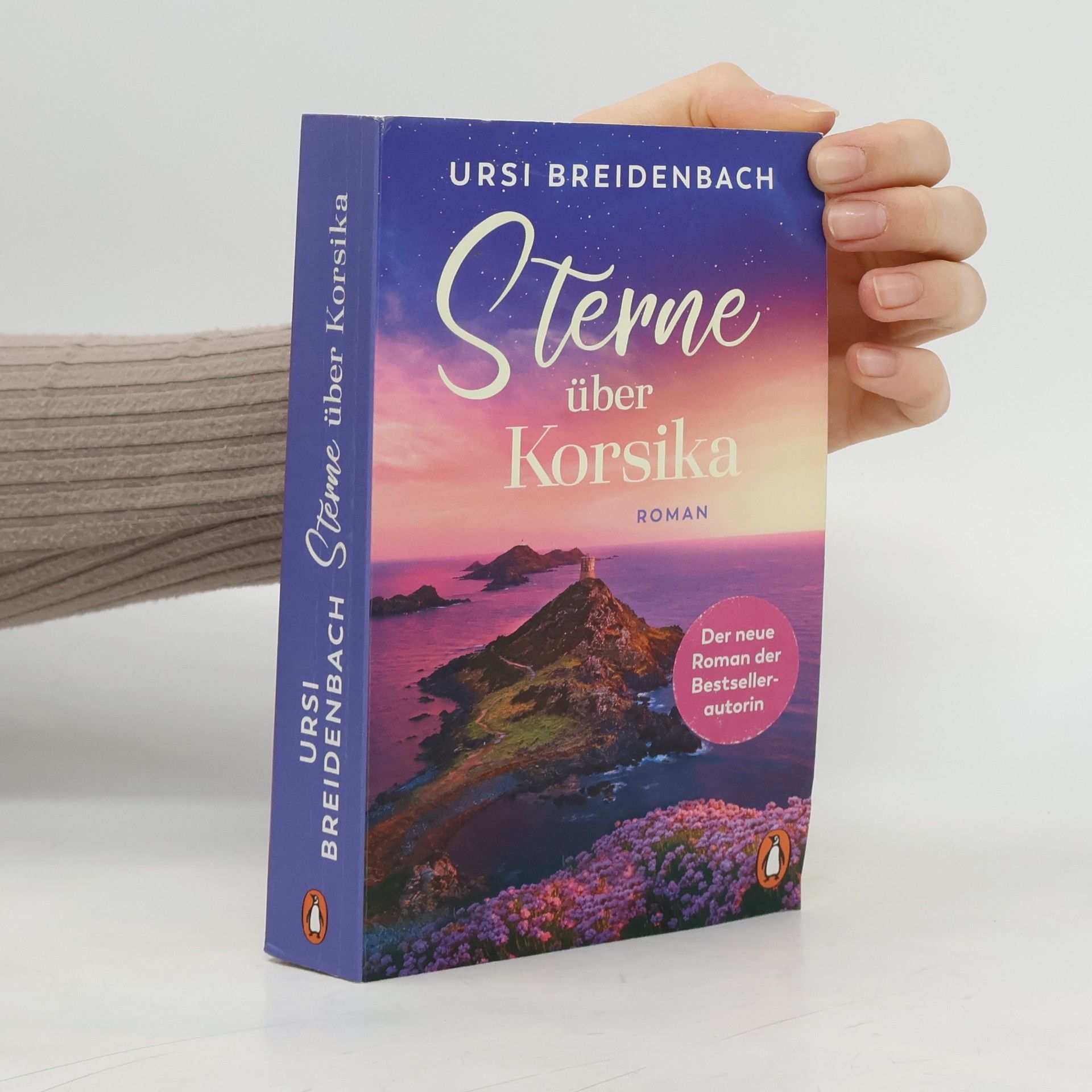 Sterne über Korsika