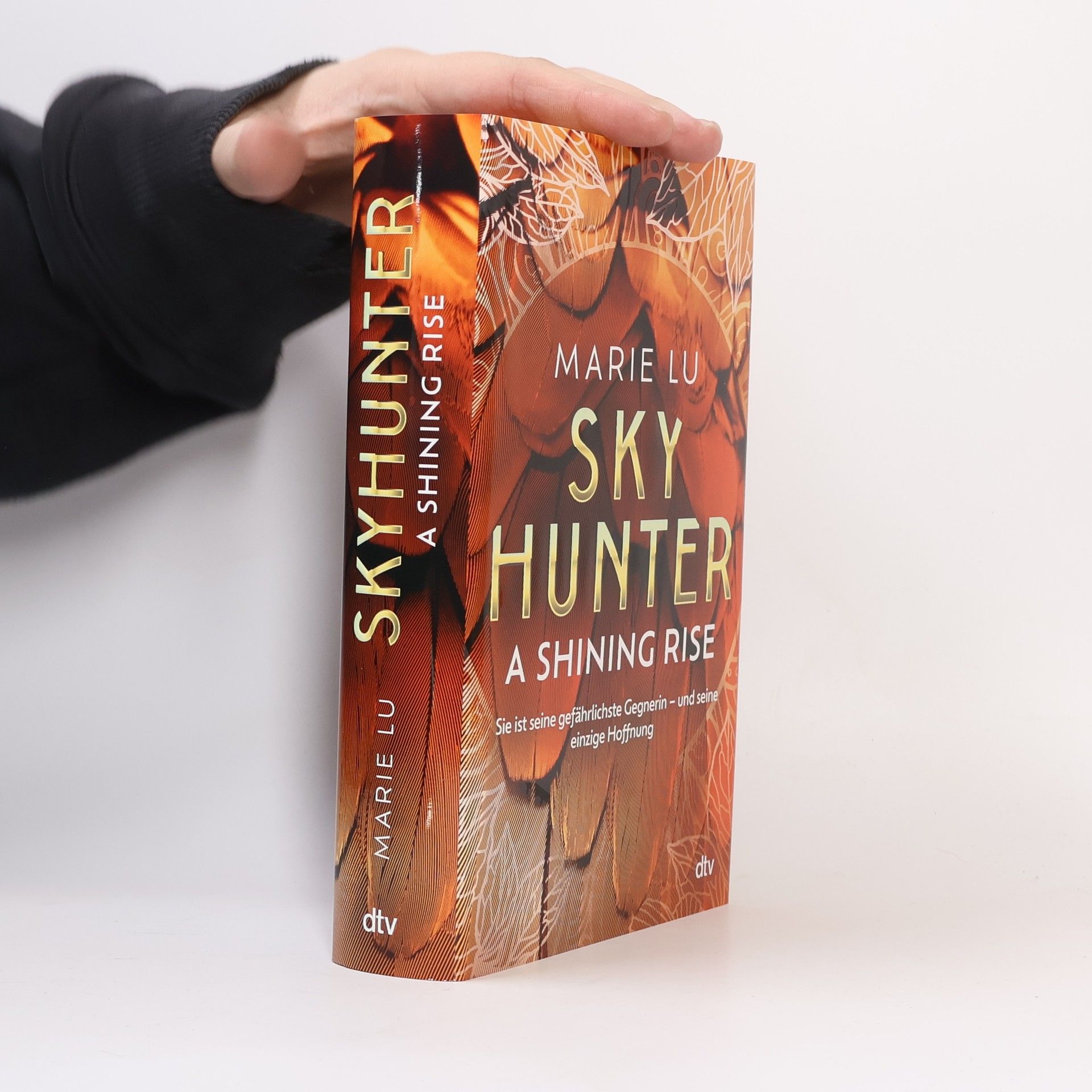 Skyhunter. A Shining Rise