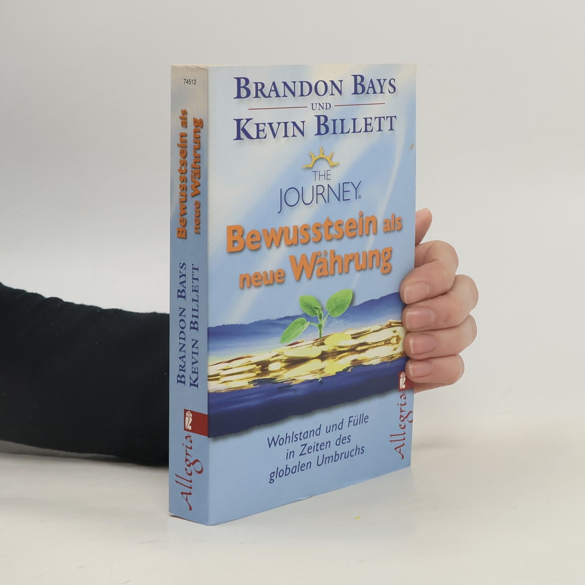 Brandon Bays The Journey - Bewusstsein als neue Währung