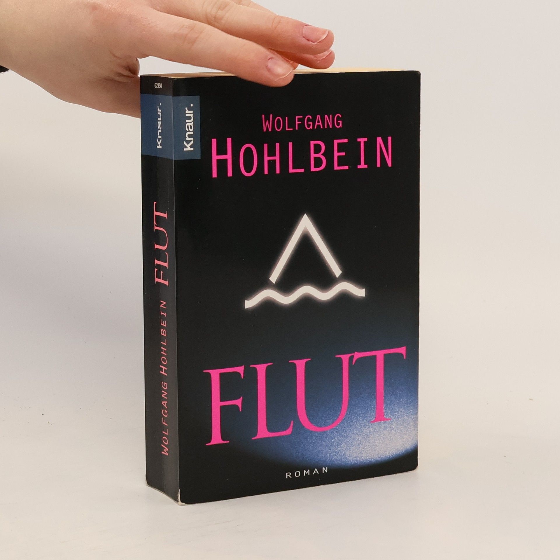 Wolfgang Hohlbein Flut