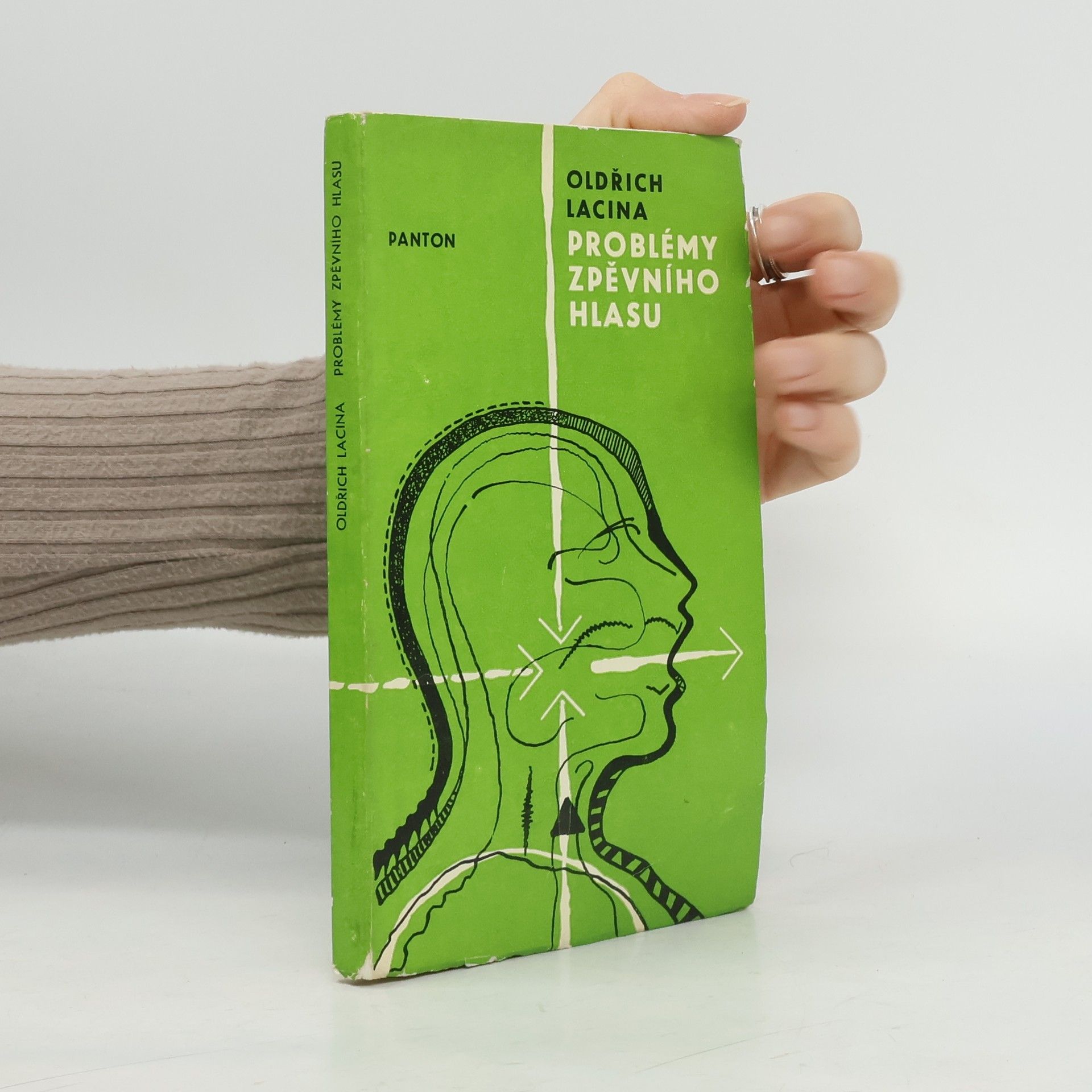 Problémy zpěvního hlasu