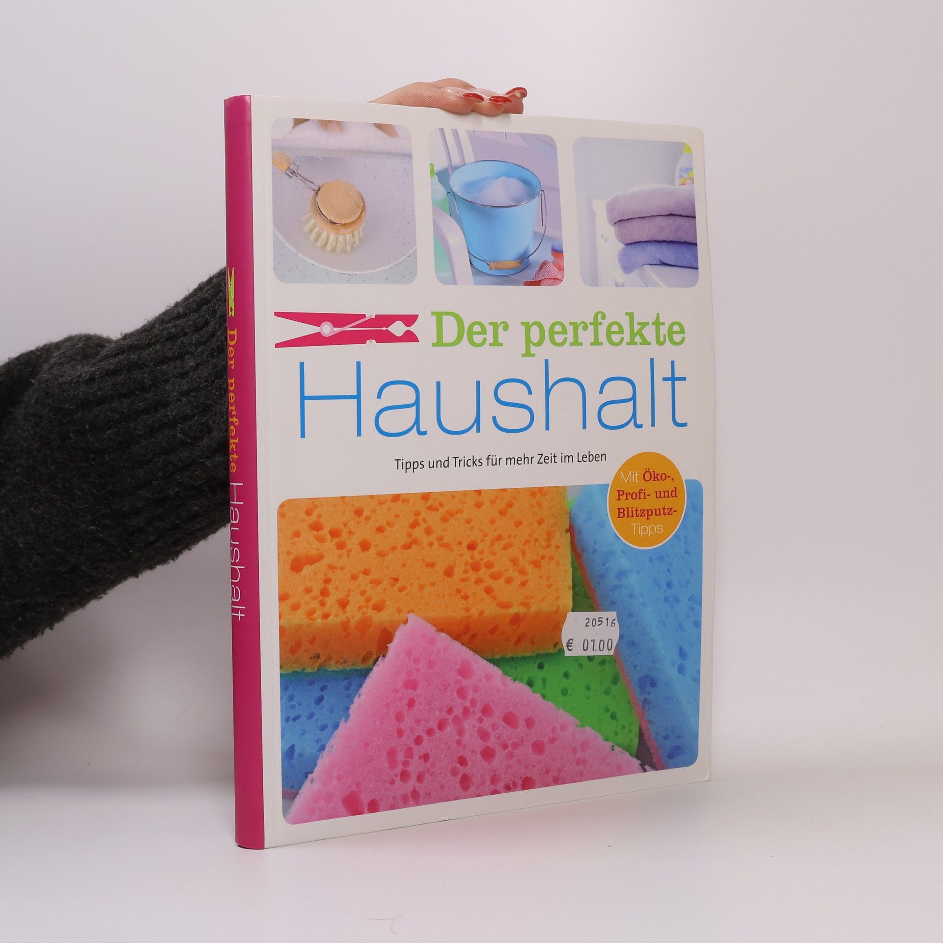 Ulrike Lowis Der perfekte Haushalt