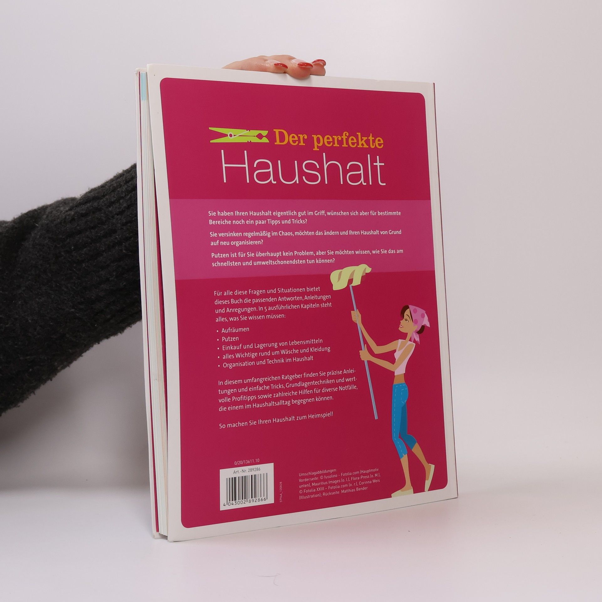 Ulrike Lowis Der perfekte Haushalt