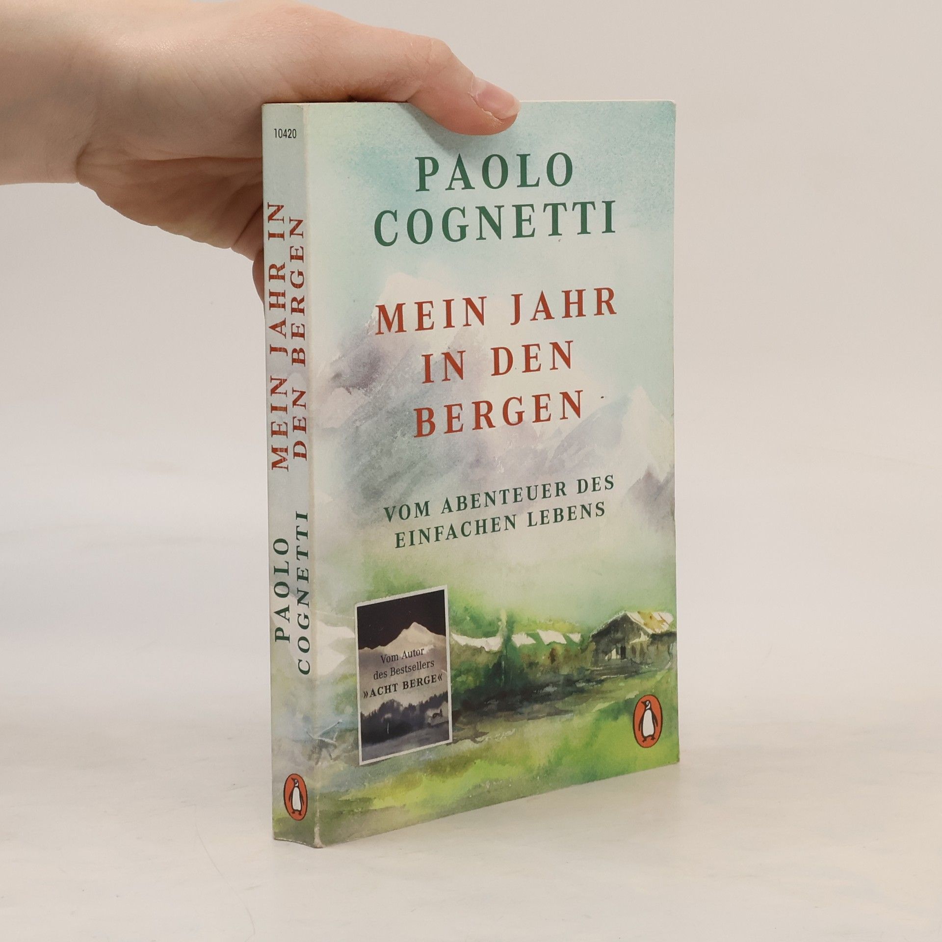 Paolo Cognetti Mein Jahr in den Bergen