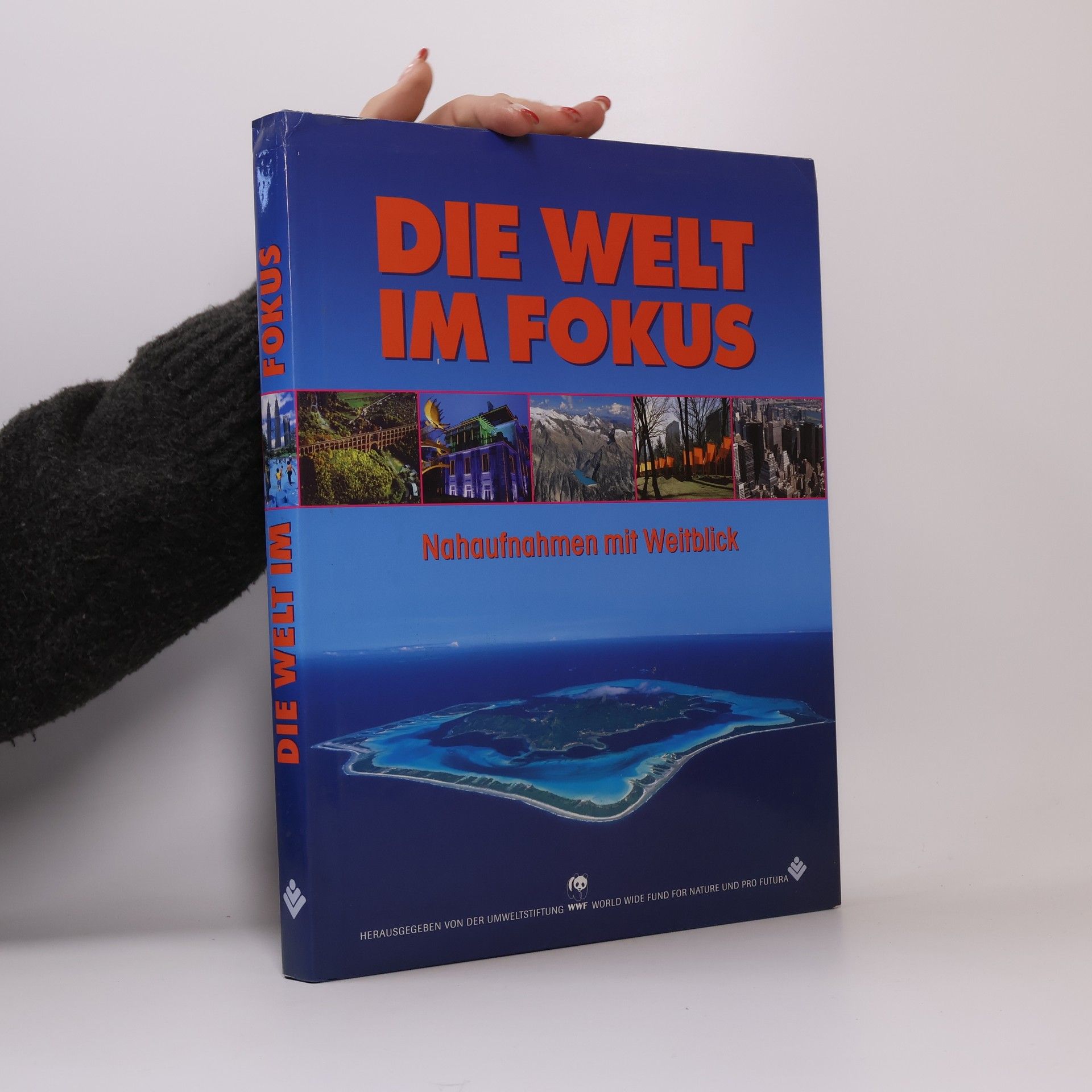 Collectif d'auteurs Die Welt im Fokus