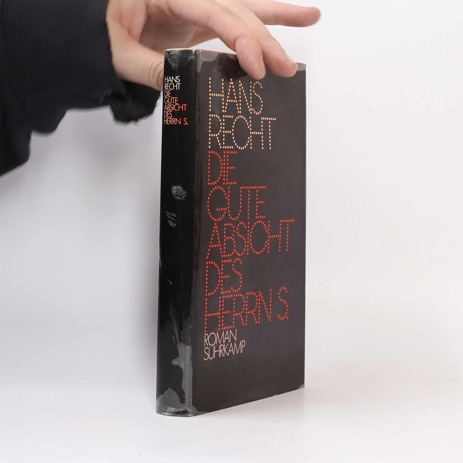 Hans-Jörg Rechtsteiner Die gute Absicht des Herrn S.