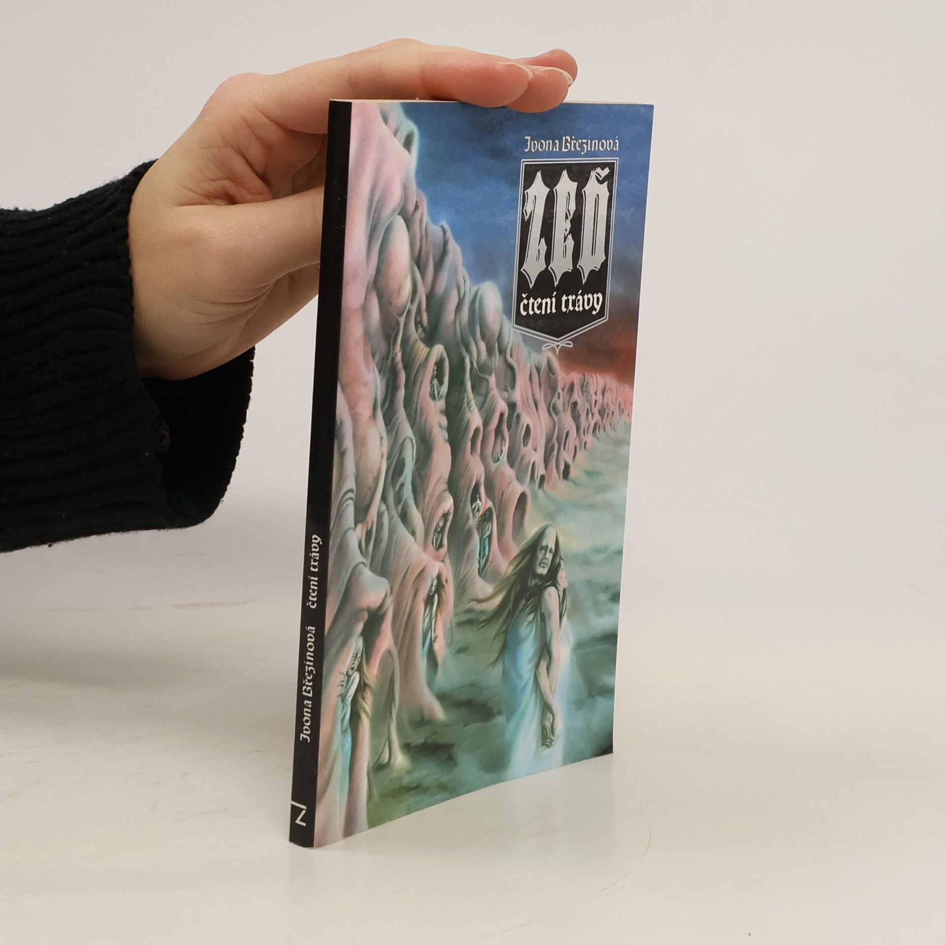 Ivona Březinová Zeď - čtení trávy