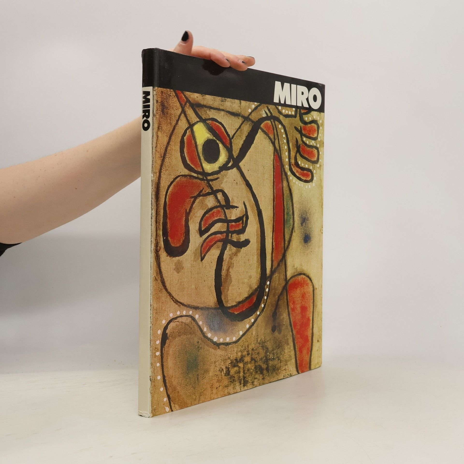 Mario Bucci Joan Miró